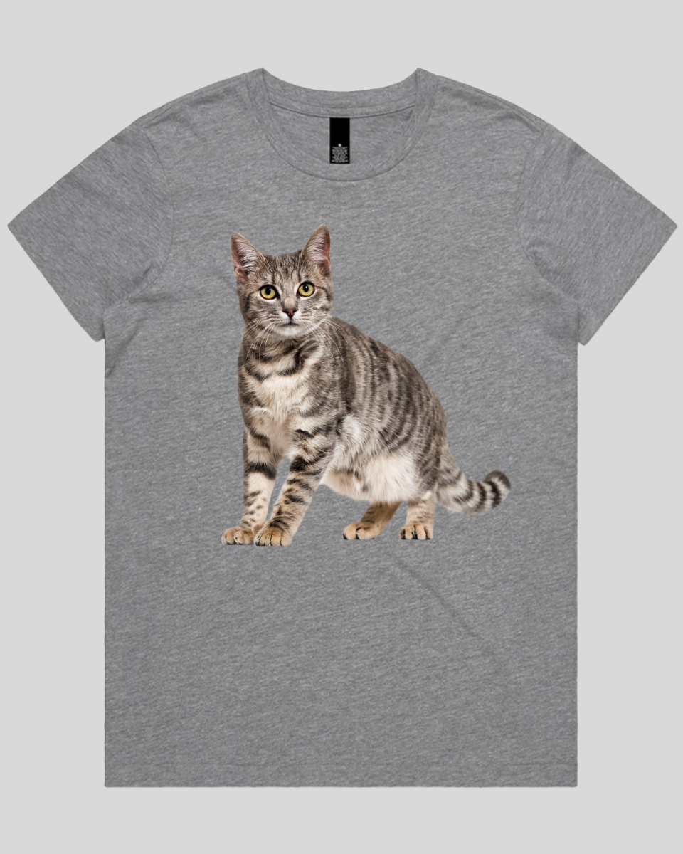 Friendly Cat Women's T-Shirt