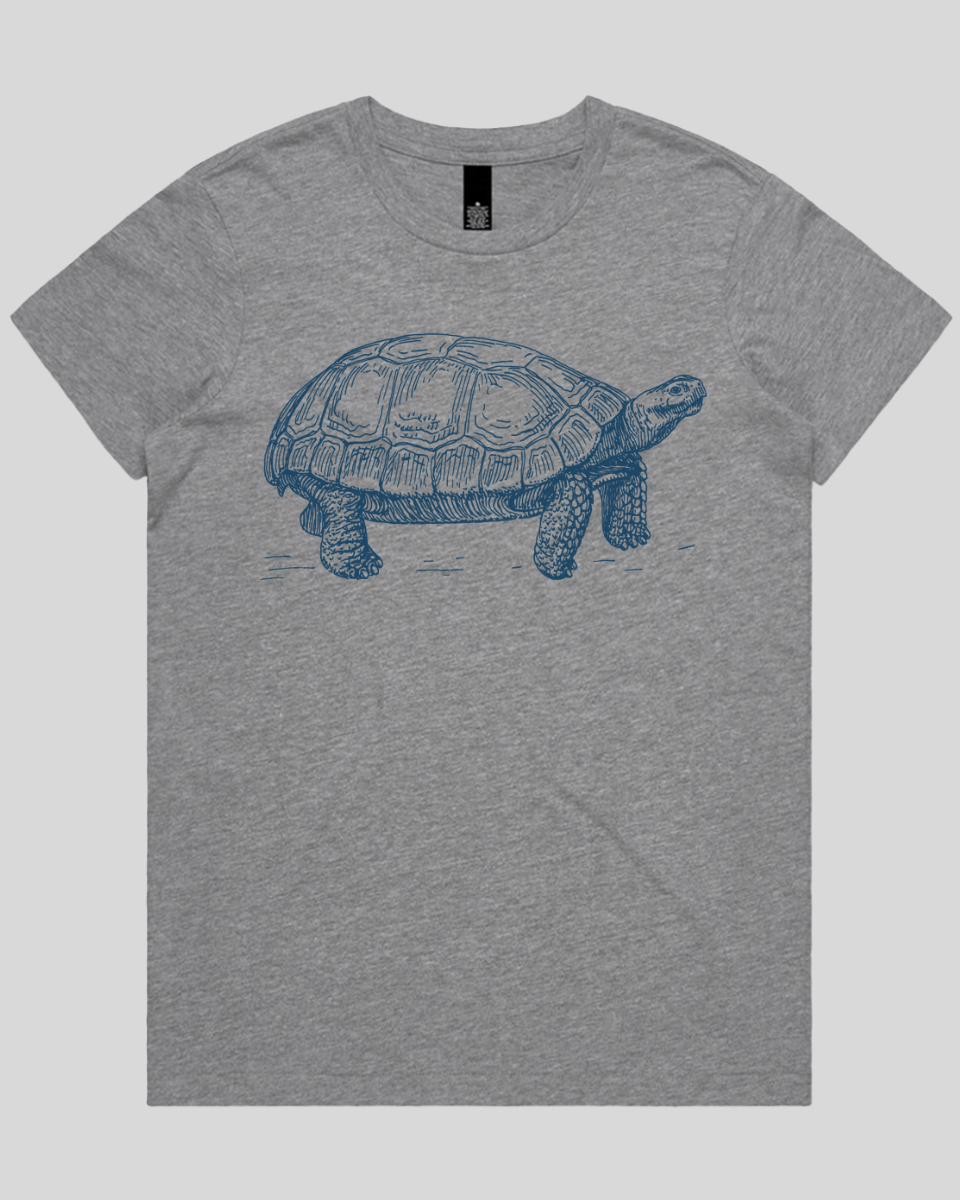 Turtle Step Women's T-Shirt