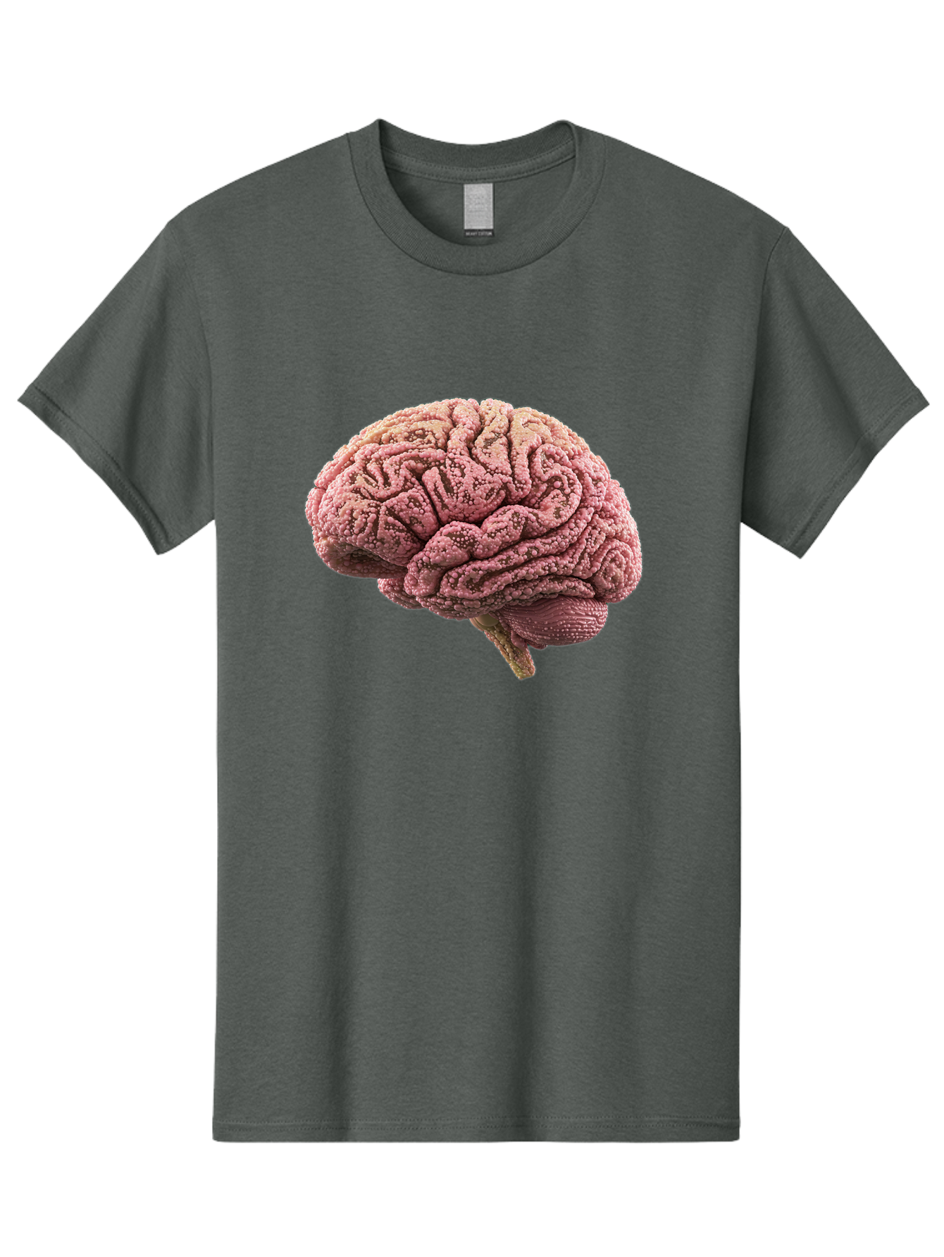 Human-Brain-5 Men'S Graphic Tee, 100% Cotton, Comfortable Casual Summer Wear, Machine Washable, Human Brain Anatomy, Brain Structure, Cerebral Cortex, Neuroscience, Cognitive Function, Medical Illustration, Brain Scan Baa843