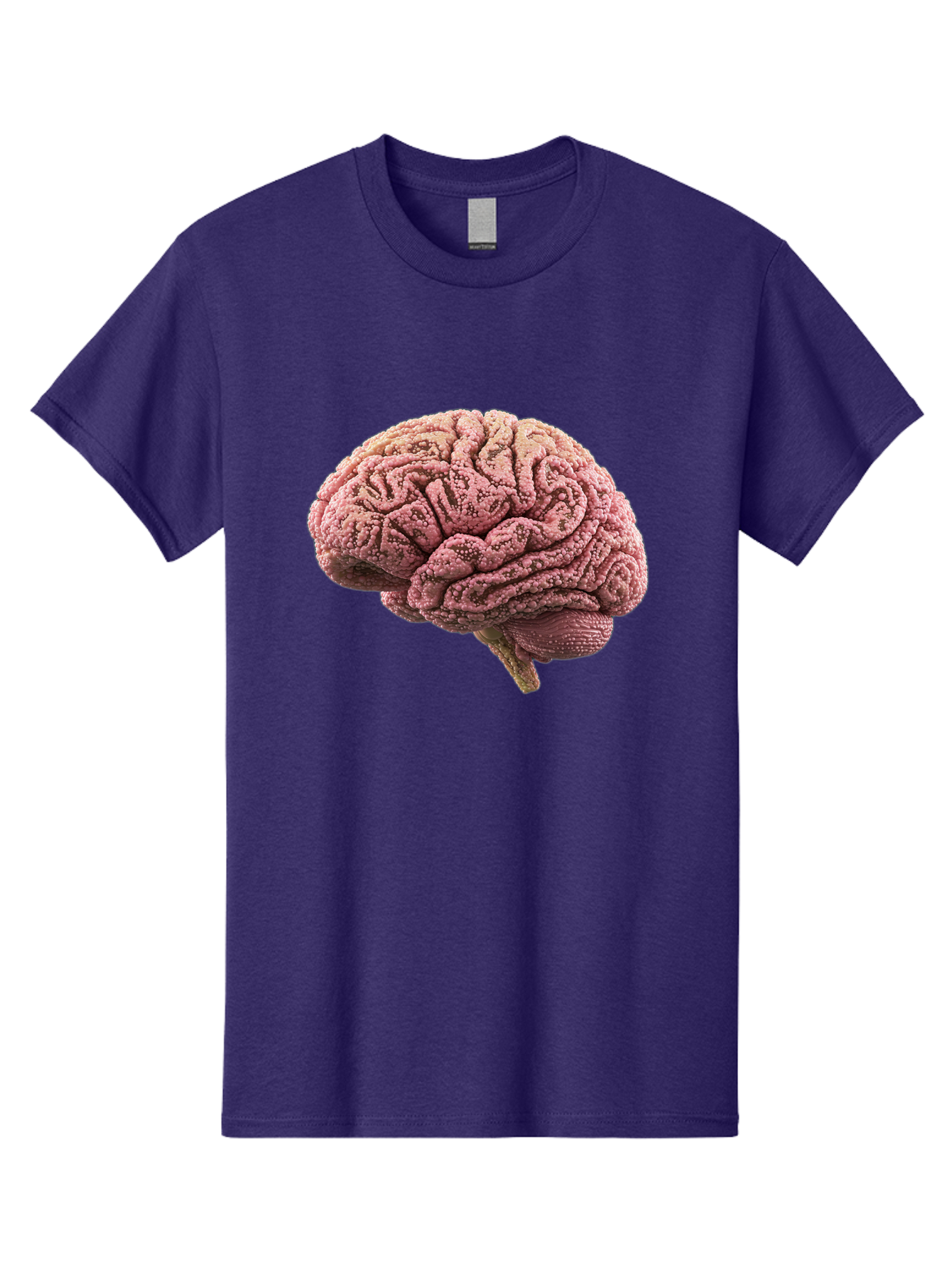 Human-Brain-5 Men'S Graphic Tee, 100% Cotton, Comfortable Casual Summer Wear, Machine Washable, Human Brain Anatomy, Brain Structure, Cerebral Cortex, Neuroscience, Cognitive Function, Medical Illustration, Brain Scan Baa843