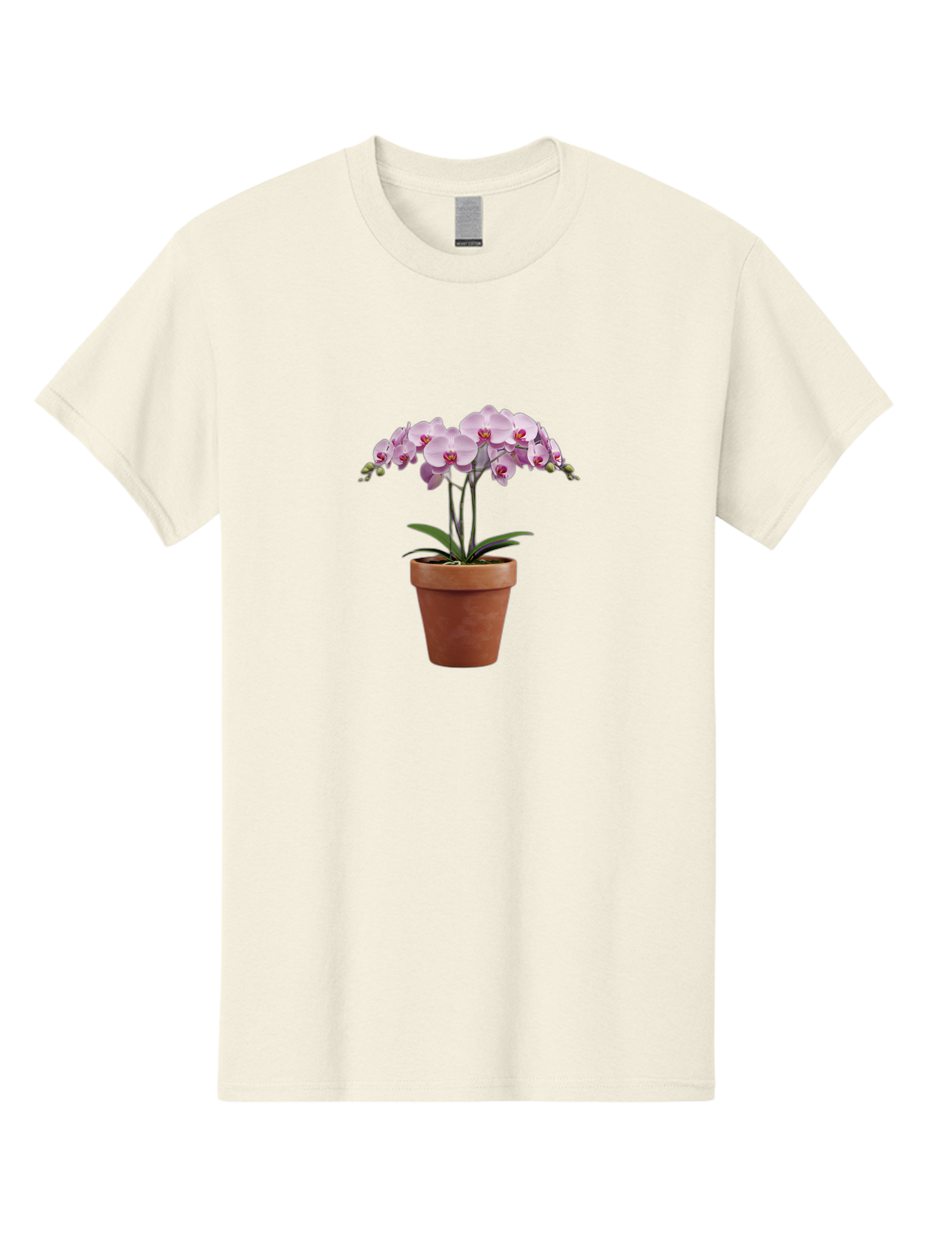Orchid-In-Pot Men'S Graphic Tee, 100% Cotton, Comfortable Casual Summer Wear, Machine Washable, Orchid Flowers, Pink Blooms, Terracotta Pot, Indoor Plants, Floral Arrangement, Elegant Decor, Tropical Plants, Gardening Inspiration, Home Decor Bab056