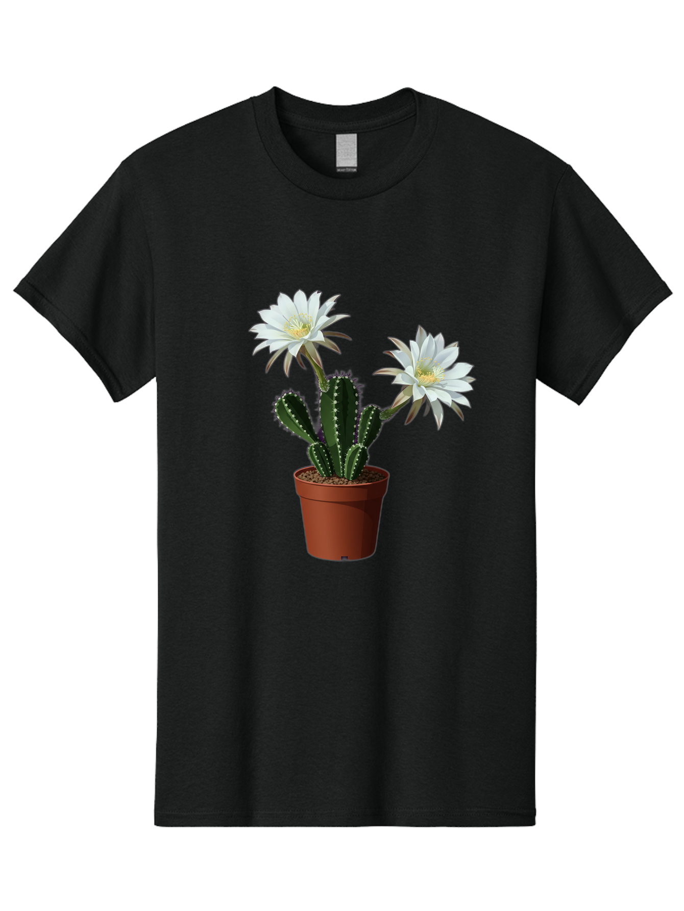 Cactus-Flowers-1 Men'S Graphic Tee, 100% Cotton, Comfortable Casual Summer Wear, Machine Washable, White Cactus Flowers, Cactus In Terracotta Pot, Desert Flora, Succulent Plants, Flowering Cacti, Indoor Plants, Potted Cactus, Blooming Cactus Bac738
