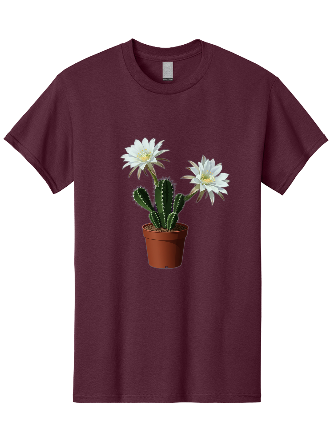 Cactus-Flowers-1 Men'S Graphic Tee, 100% Cotton, Comfortable Casual Summer Wear, Machine Washable, White Cactus Flowers, Cactus In Terracotta Pot, Desert Flora, Succulent Plants, Flowering Cacti, Indoor Plants, Potted Cactus, Blooming Cactus Bac738
