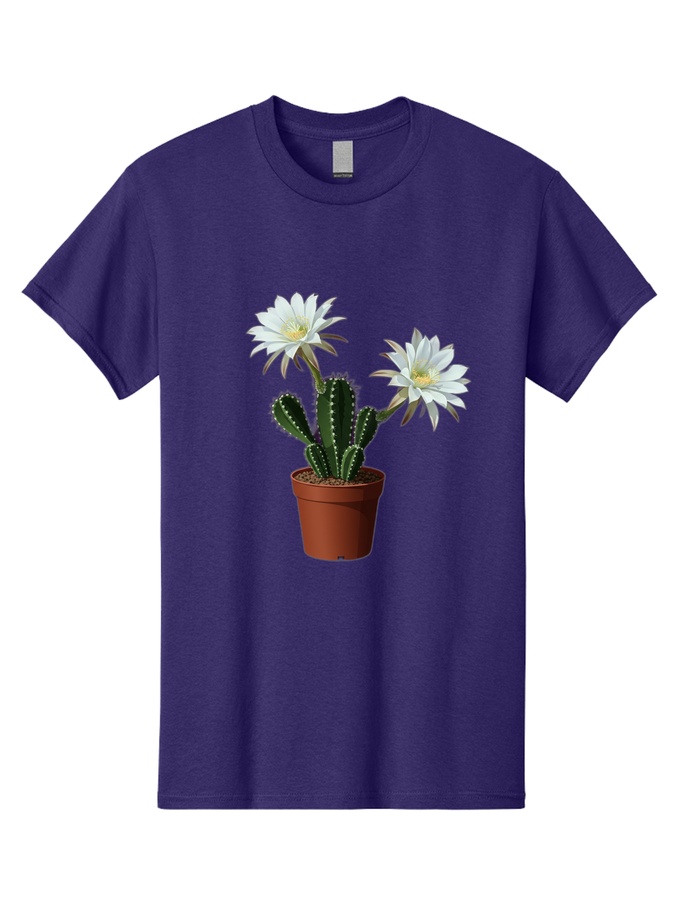 Cactus-Flowers-1 Men'S Graphic Tee, 100% Cotton, Comfortable Casual Summer Wear, Machine Washable, White Cactus Flowers, Cactus In Terracotta Pot, Desert Flora, Succulent Plants, Flowering Cacti, Indoor Plants, Potted Cactus, Blooming Cactus Bac738
