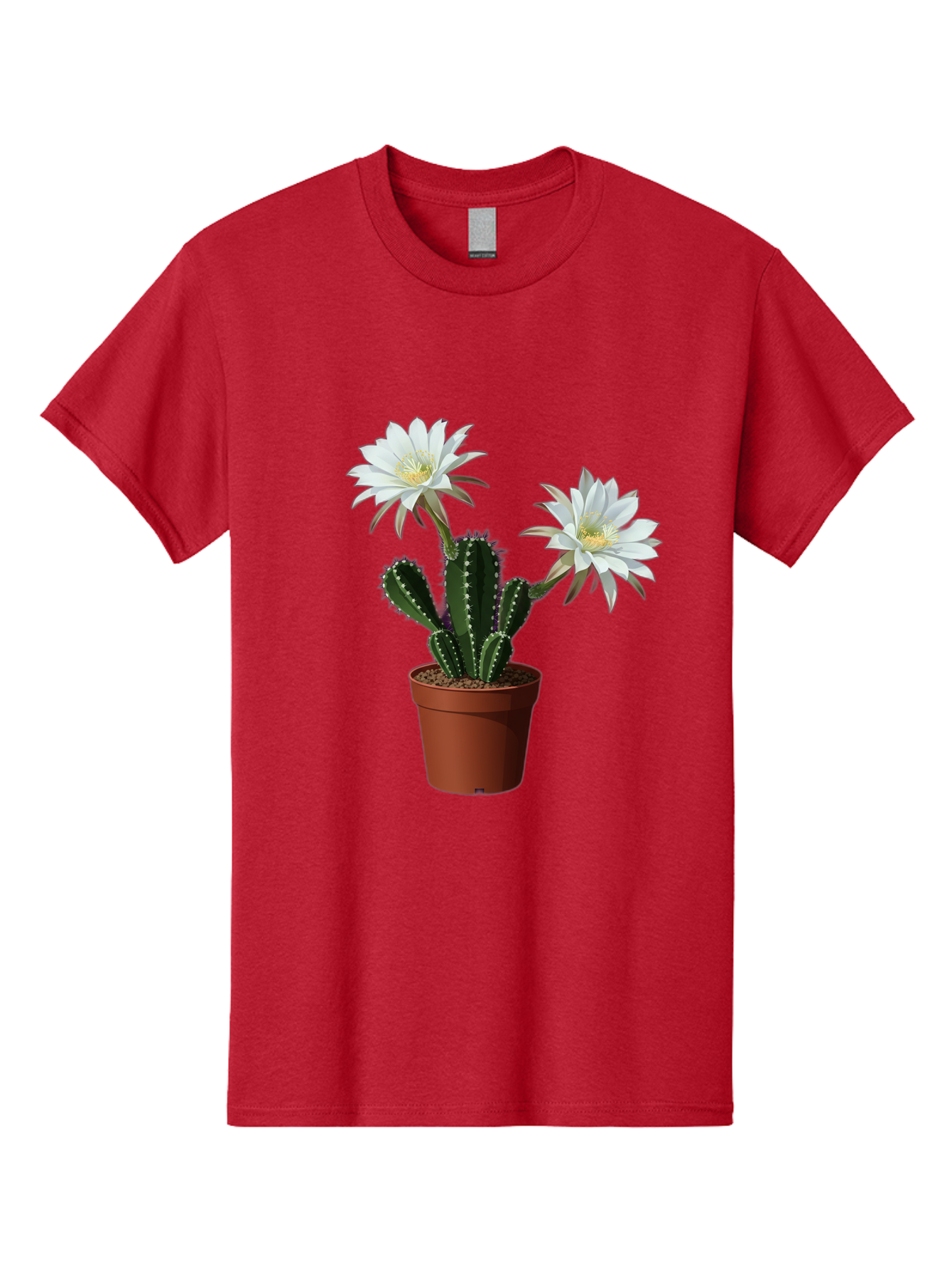 Cactus-Flowers-1 Men'S Graphic Tee, 100% Cotton, Comfortable Casual Summer Wear, Machine Washable, White Cactus Flowers, Cactus In Terracotta Pot, Desert Flora, Succulent Plants, Flowering Cacti, Indoor Plants, Potted Cactus, Blooming Cactus Bac738