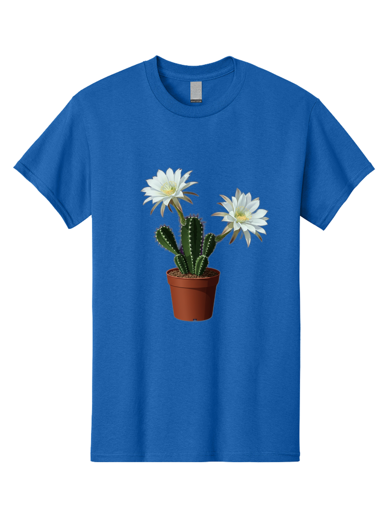 Cactus-Flowers-1 Men'S Graphic Tee, 100% Cotton, Comfortable Casual Summer Wear, Machine Washable, White Cactus Flowers, Cactus In Terracotta Pot, Desert Flora, Succulent Plants, Flowering Cacti, Indoor Plants, Potted Cactus, Blooming Cactus Bac738
