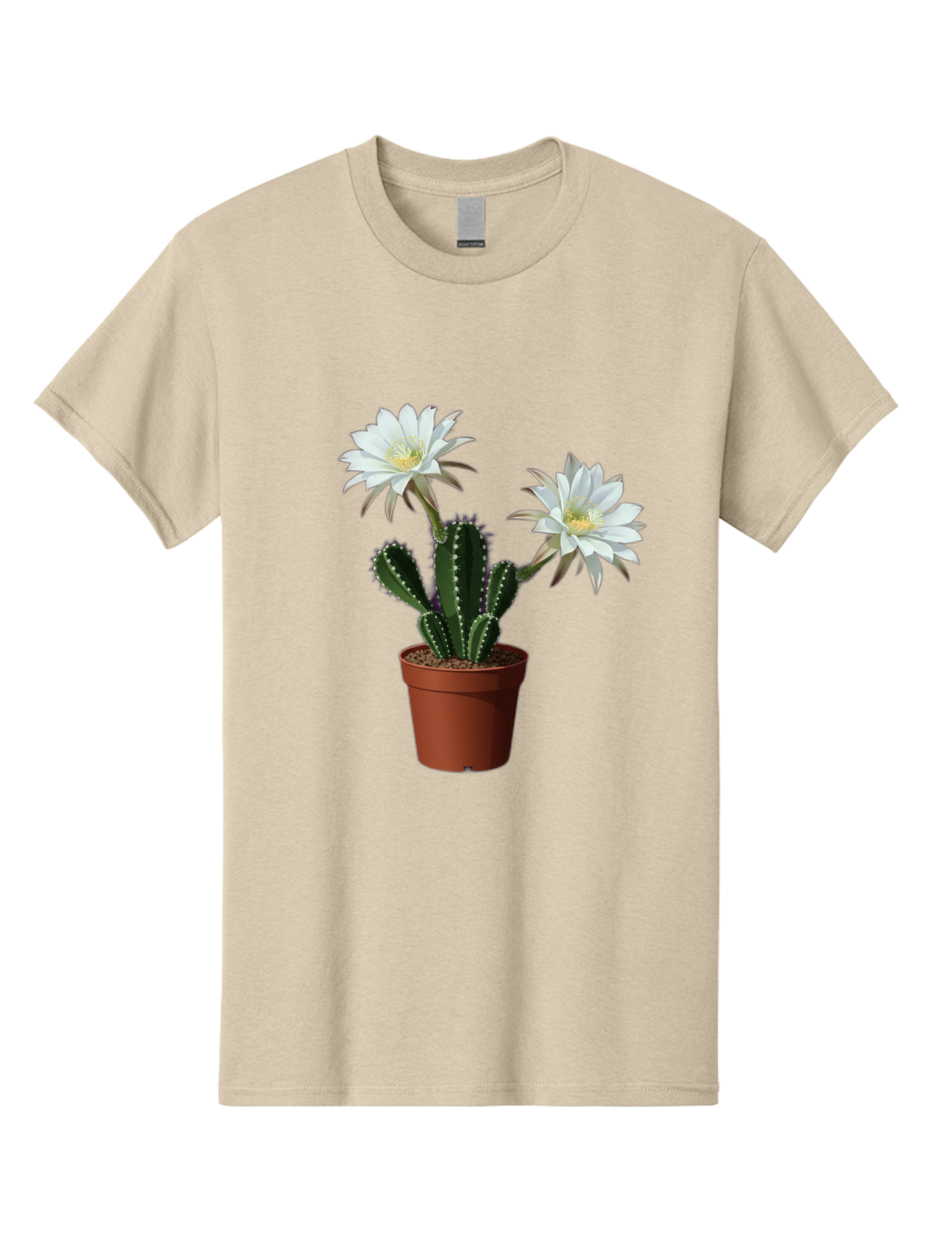 Cactus-Flowers-1 Men'S Graphic Tee, 100% Cotton, Comfortable Casual Summer Wear, Machine Washable, White Cactus Flowers, Cactus In Terracotta Pot, Desert Flora, Succulent Plants, Flowering Cacti, Indoor Plants, Potted Cactus, Blooming Cactus Bac738