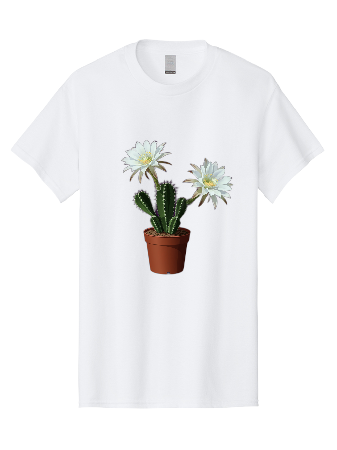 Cactus-Flowers-1 Men'S Graphic Tee, 100% Cotton, Comfortable Casual Summer Wear, Machine Washable, White Cactus Flowers, Cactus In Terracotta Pot, Desert Flora, Succulent Plants, Flowering Cacti, Indoor Plants, Potted Cactus, Blooming Cactus Bac738