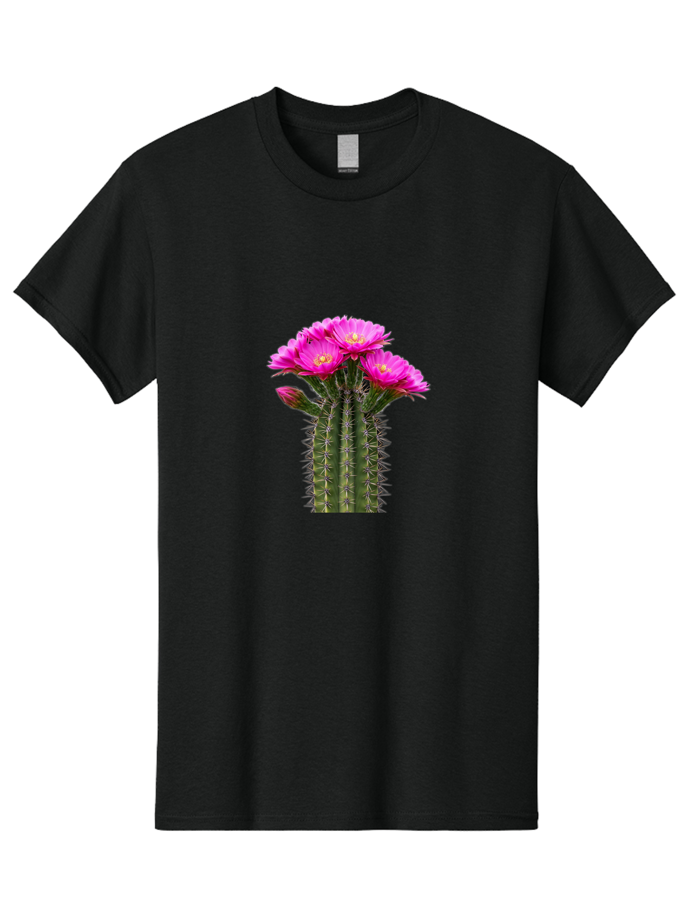 Cactus-With-Pink-Flowers Men'S Graphic Tee, 100% Cotton, Comfortable Casual Summer Wear, Machine Washable, Cactus With Pink Flowers, Vibrant Floral Display, Sharp Spines, Desert Plant, Flowering Cactus, Pink Petals, Yellow Center, Trichocereus Bac763