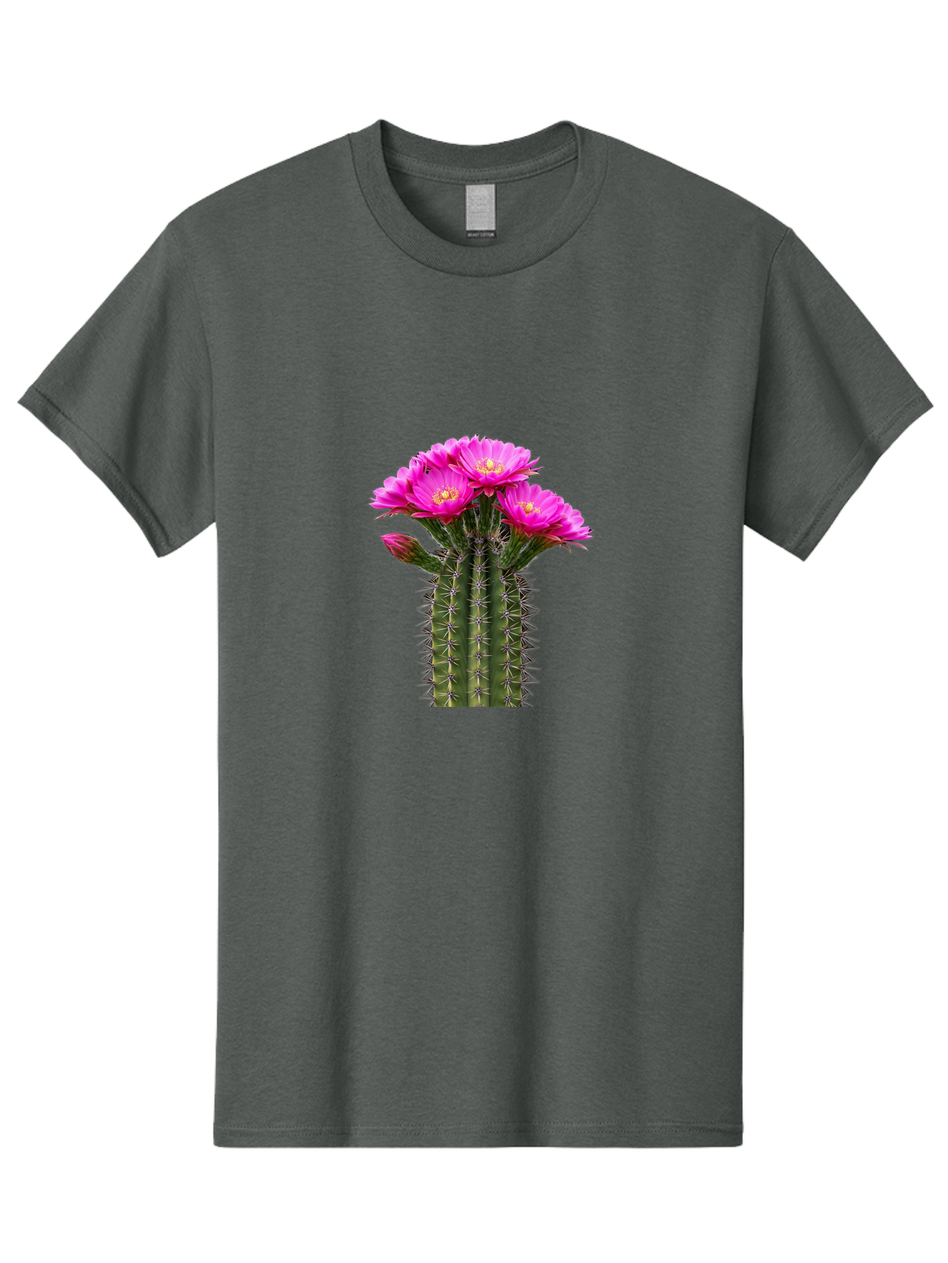 Cactus-With-Pink-Flowers Men'S Graphic Tee, 100% Cotton, Comfortable Casual Summer Wear, Machine Washable, Cactus With Pink Flowers, Vibrant Floral Display, Sharp Spines, Desert Plant, Flowering Cactus, Pink Petals, Yellow Center, Trichocereus Bac763