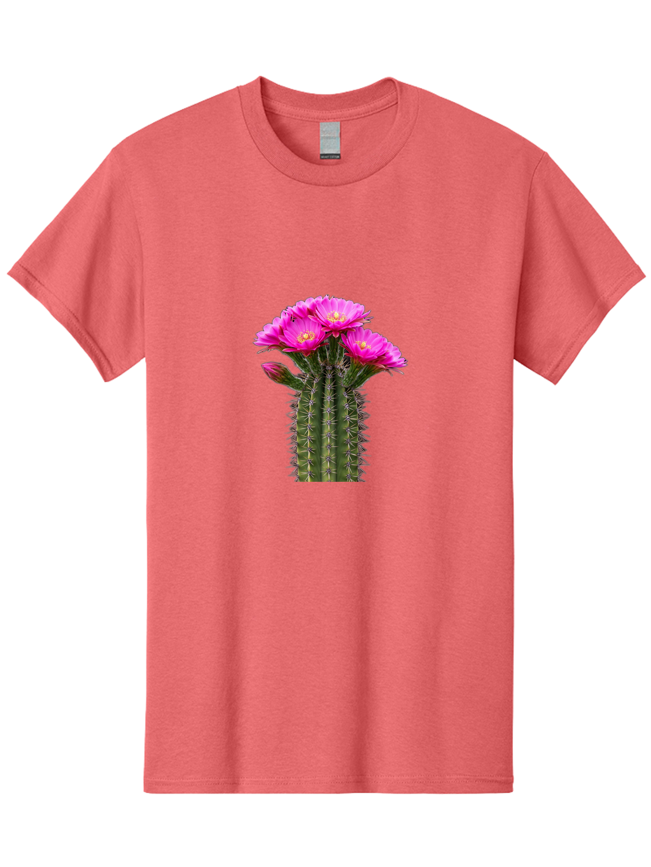 Cactus-With-Pink-Flowers Men'S Graphic Tee, 100% Cotton, Comfortable Casual Summer Wear, Machine Washable, Cactus With Pink Flowers, Vibrant Floral Display, Sharp Spines, Desert Plant, Flowering Cactus, Pink Petals, Yellow Center, Trichocereus Bac763