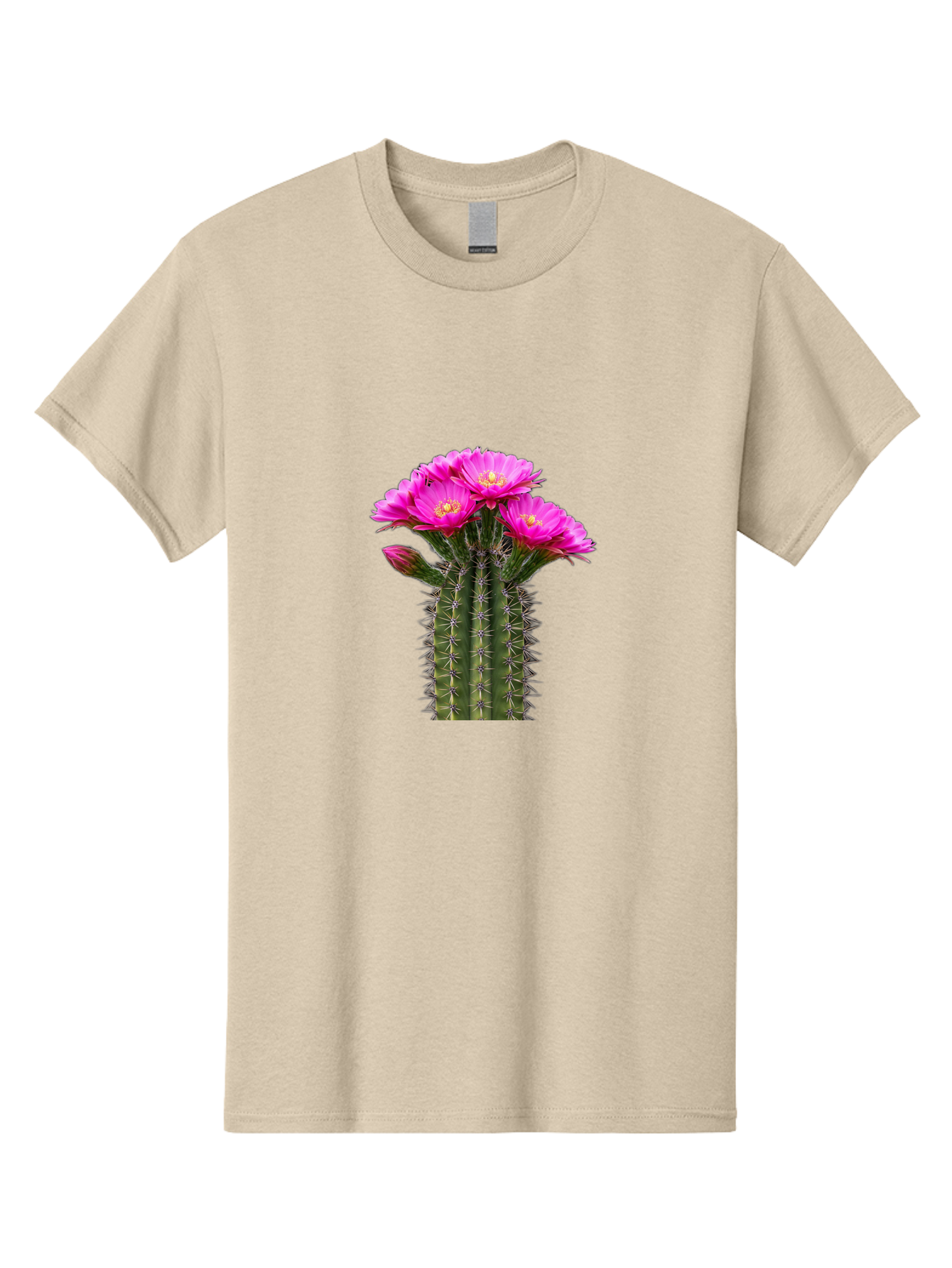 Cactus-With-Pink-Flowers Men'S Graphic Tee, 100% Cotton, Comfortable Casual Summer Wear, Machine Washable, Cactus With Pink Flowers, Vibrant Floral Display, Sharp Spines, Desert Plant, Flowering Cactus, Pink Petals, Yellow Center, Trichocereus Bac763