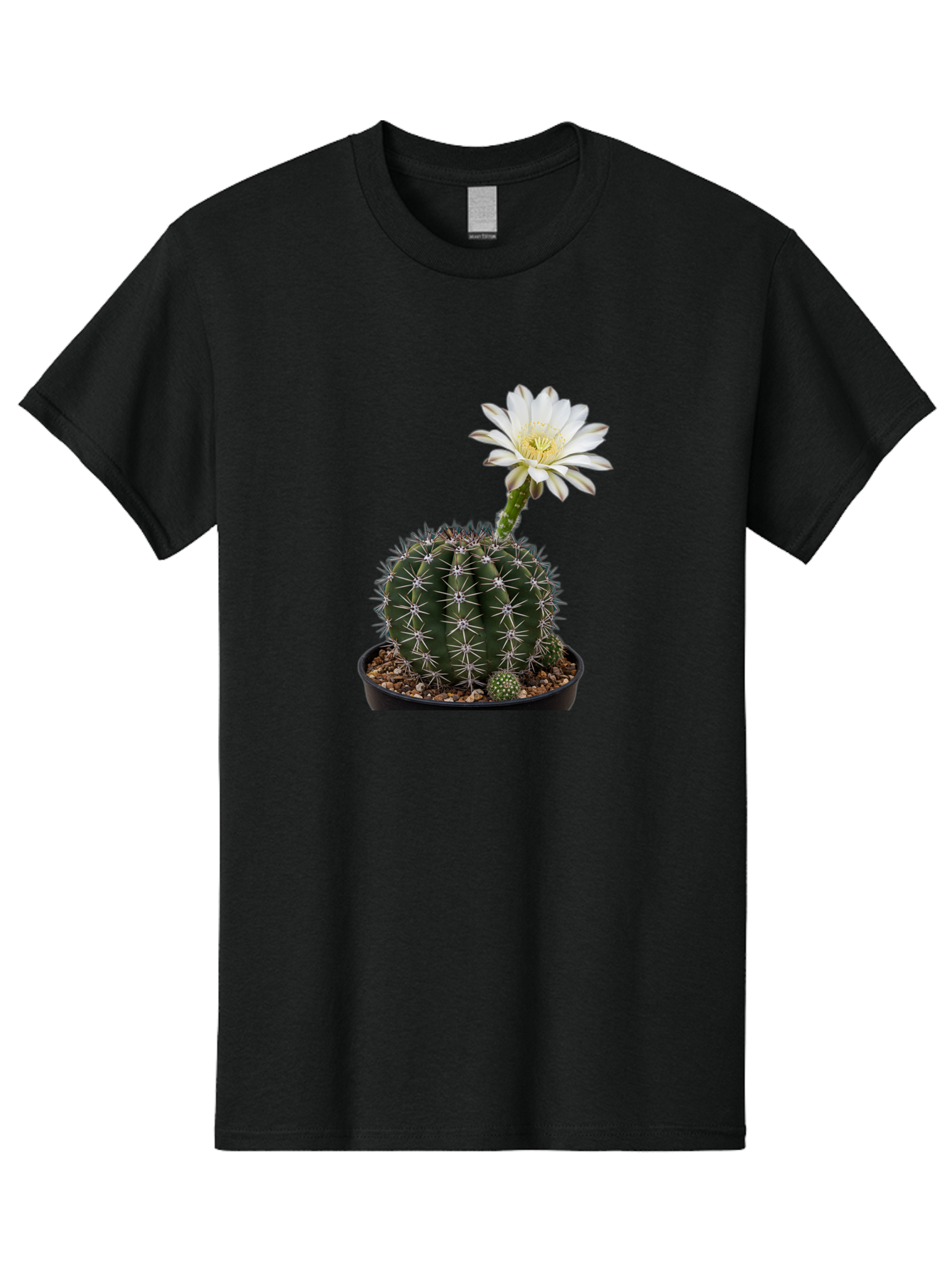 Cactus-With-White-Flower Men'S Graphic Tee, 100% Cotton, Comfortable Casual Summer Wear, Machine Washable, Cactus Plant, White Flower, Yellow Center, Spiky Texture, Potted Cactus, Succulent Bloom, Desert Flora, Floral Beauty, Cactus Flower, Bac769