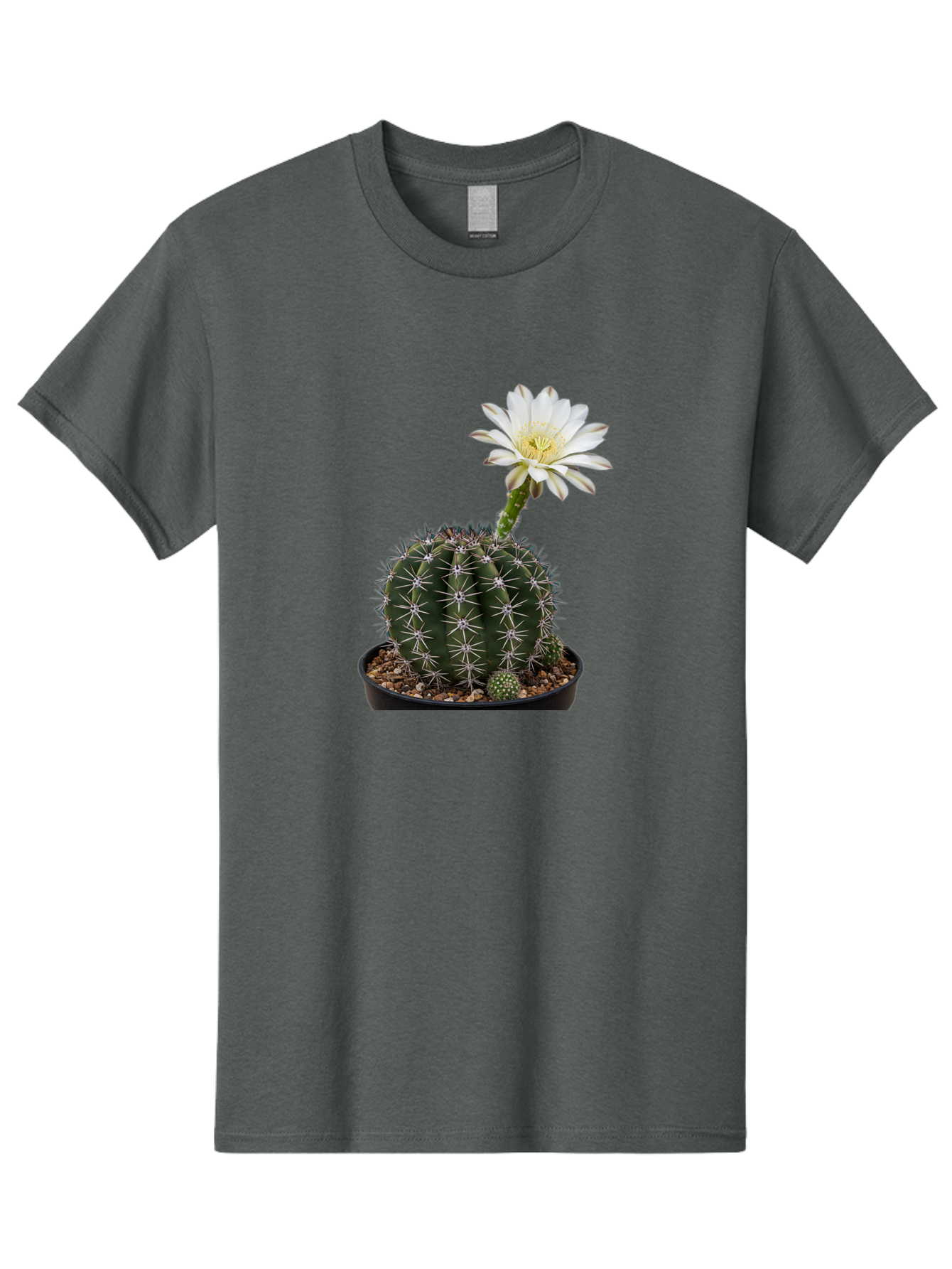 Cactus-With-White-Flower Men'S Graphic Tee, 100% Cotton, Comfortable Casual Summer Wear, Machine Washable, Cactus Plant, White Flower, Yellow Center, Spiky Texture, Potted Cactus, Succulent Bloom, Desert Flora, Floral Beauty, Cactus Flower, Bac769