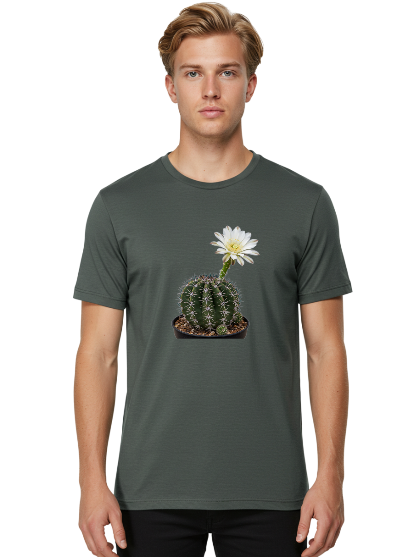 Cactus-With-White-Flower Men'S Graphic Tee, 100% Cotton, Comfortable Casual Summer Wear, Machine Washable, Cactus Plant, White Flower, Yellow Center, Spiky Texture, Potted Cactus, Succulent Bloom, Desert Flora, Floral Beauty, Cactus Flower, Bac769