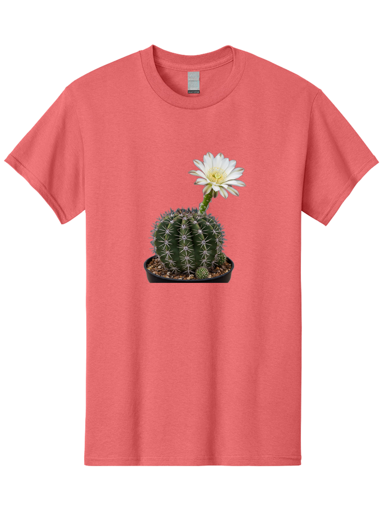 Cactus-With-White-Flower Men'S Graphic Tee, 100% Cotton, Comfortable Casual Summer Wear, Machine Washable, Cactus Plant, White Flower, Yellow Center, Spiky Texture, Potted Cactus, Succulent Bloom, Desert Flora, Floral Beauty, Cactus Flower, Bac769