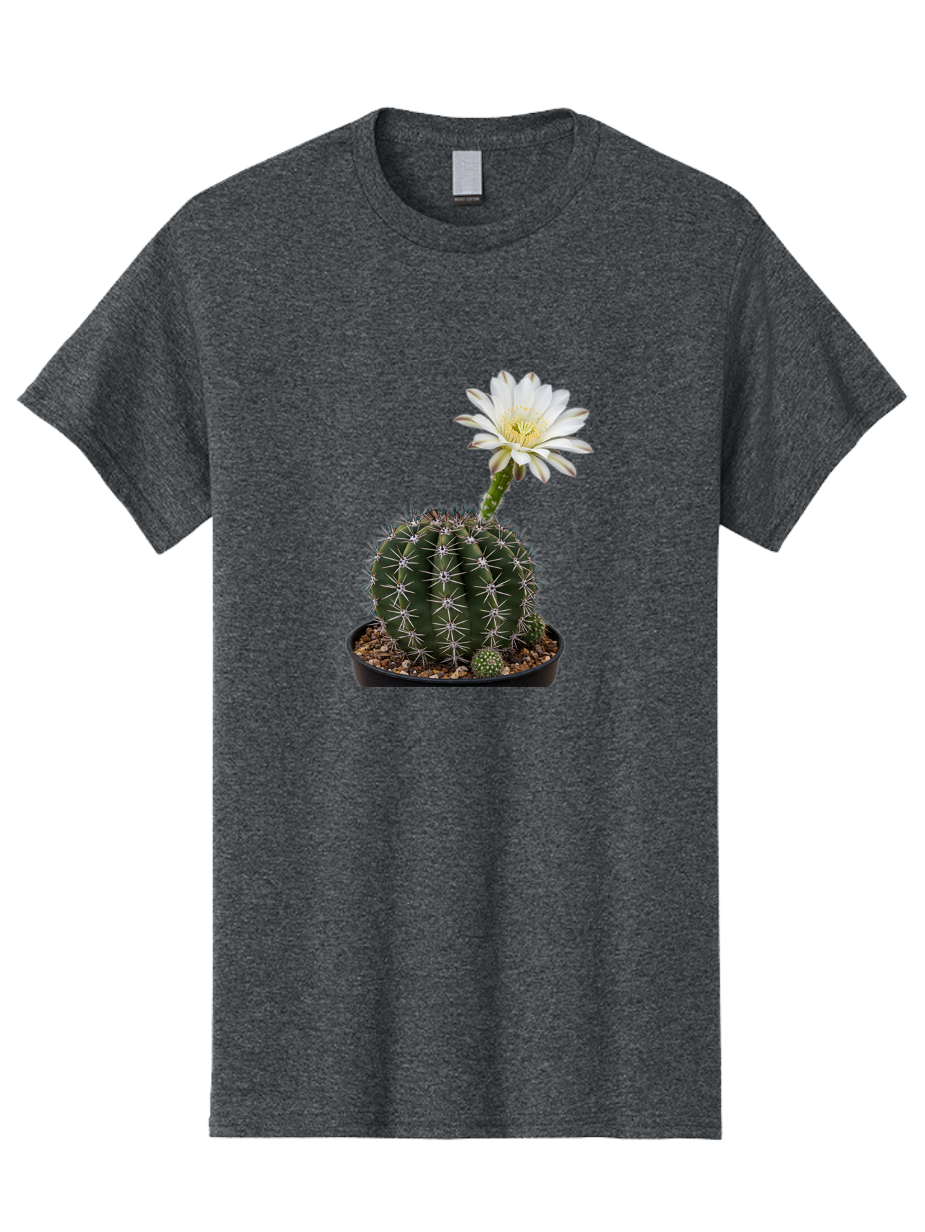 Cactus-With-White-Flower Men'S Graphic Tee, 100% Cotton, Comfortable Casual Summer Wear, Machine Washable, Cactus Plant, White Flower, Yellow Center, Spiky Texture, Potted Cactus, Succulent Bloom, Desert Flora, Floral Beauty, Cactus Flower, Bac769