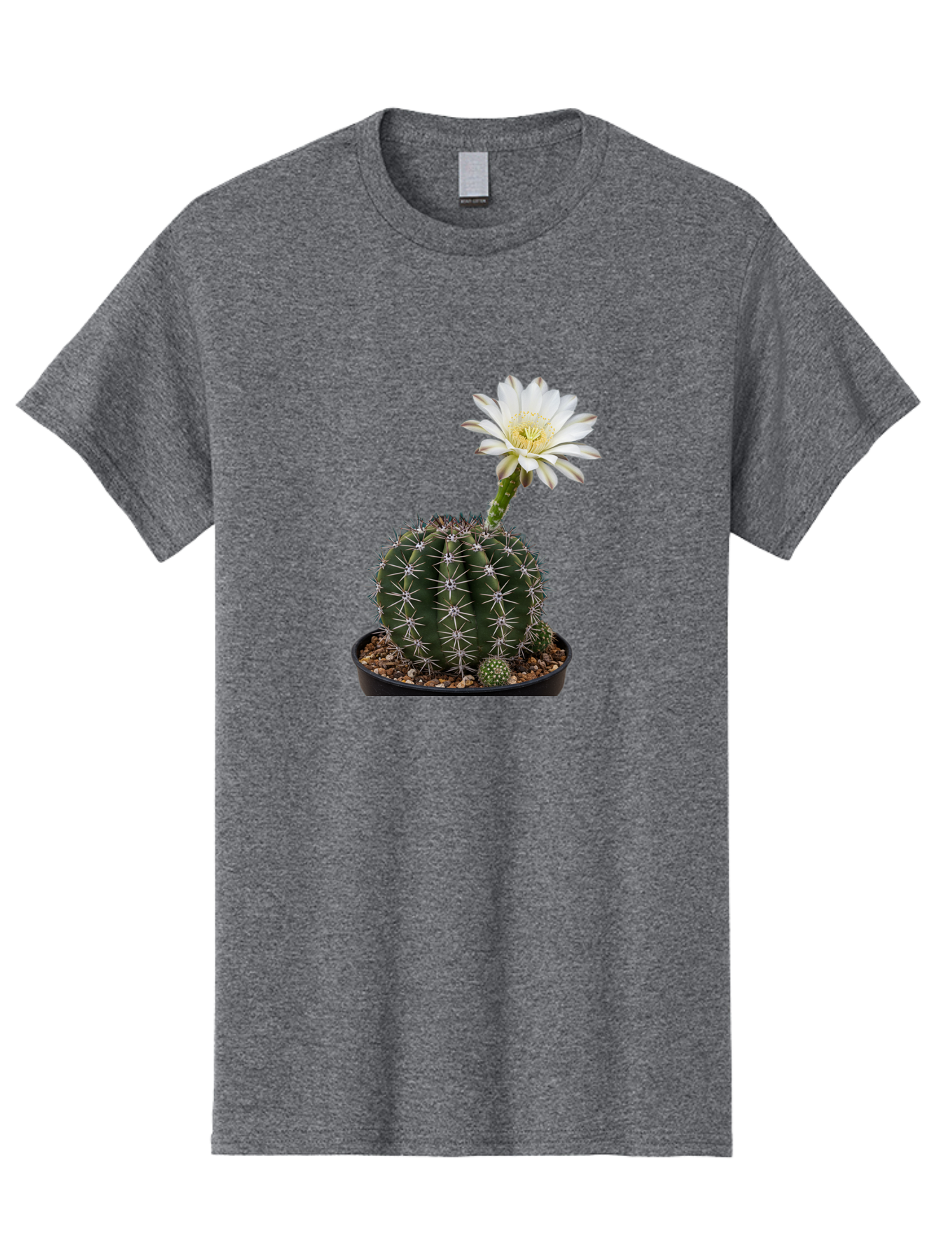 Cactus-With-White-Flower Men'S Graphic Tee, 100% Cotton, Comfortable Casual Summer Wear, Machine Washable, Cactus Plant, White Flower, Yellow Center, Spiky Texture, Potted Cactus, Succulent Bloom, Desert Flora, Floral Beauty, Cactus Flower, Bac769