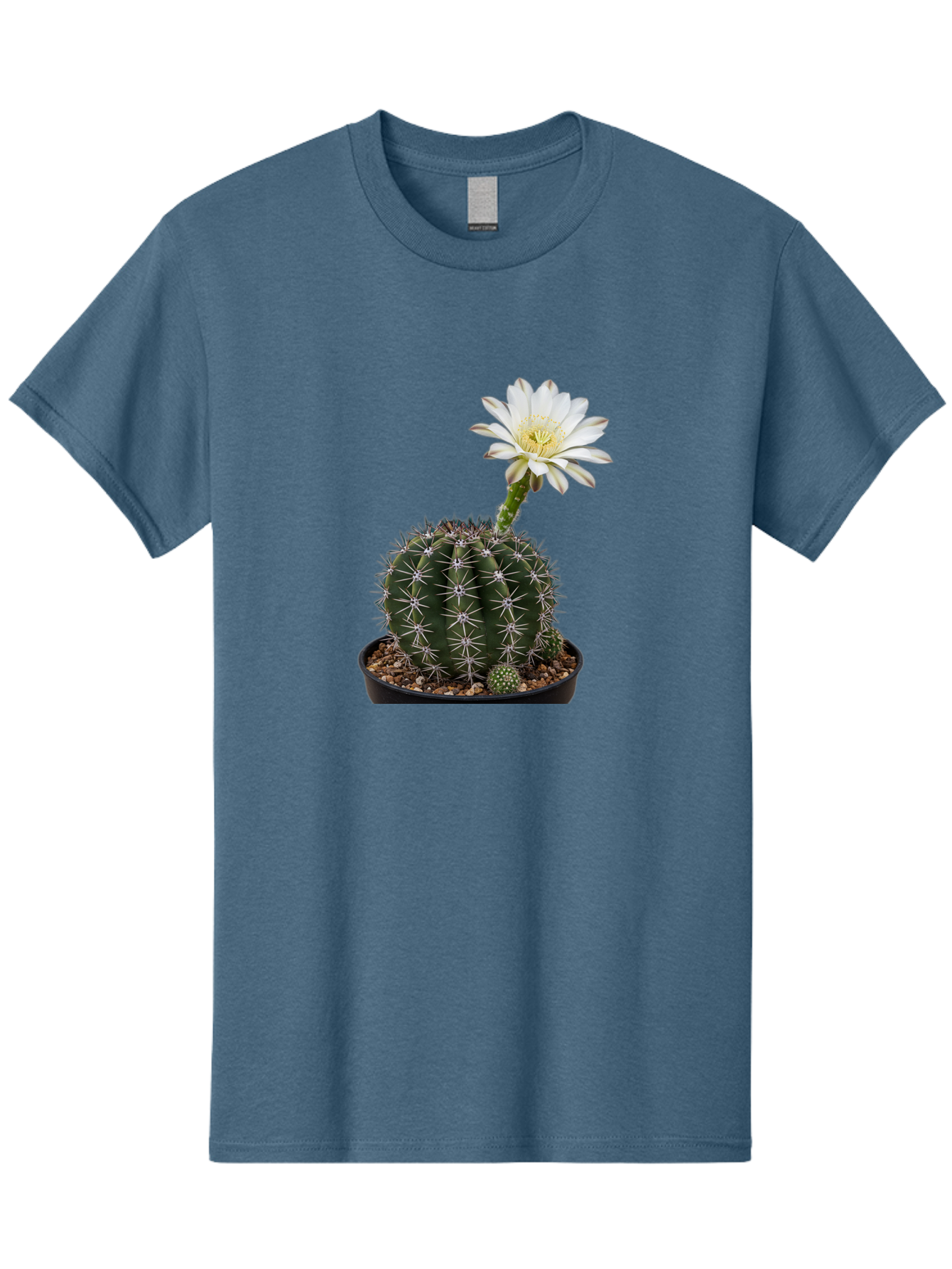 Cactus-With-White-Flower Men'S Graphic Tee, 100% Cotton, Comfortable Casual Summer Wear, Machine Washable, Cactus Plant, White Flower, Yellow Center, Spiky Texture, Potted Cactus, Succulent Bloom, Desert Flora, Floral Beauty, Cactus Flower, Bac769