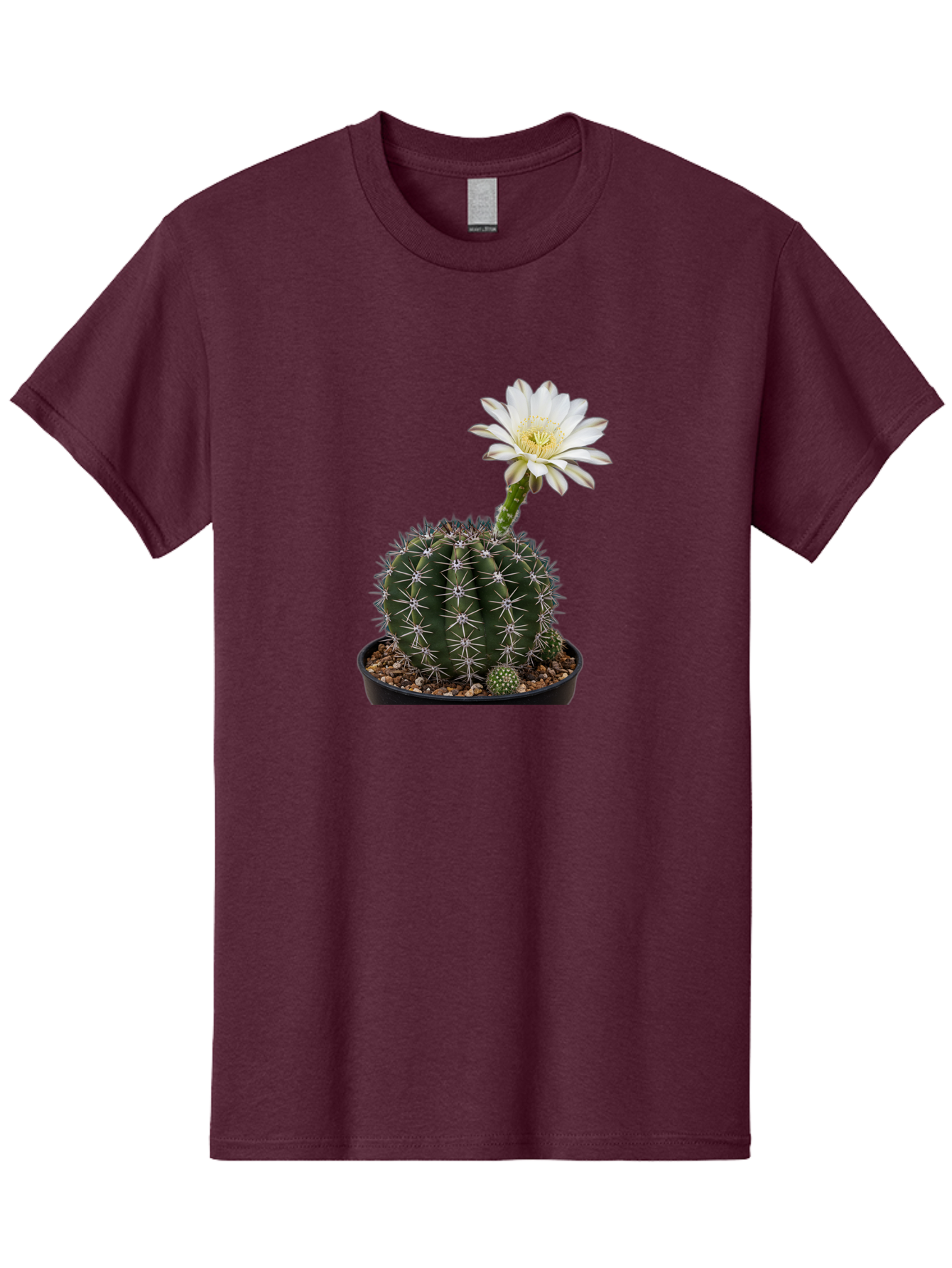 Cactus-With-White-Flower Men'S Graphic Tee, 100% Cotton, Comfortable Casual Summer Wear, Machine Washable, Cactus Plant, White Flower, Yellow Center, Spiky Texture, Potted Cactus, Succulent Bloom, Desert Flora, Floral Beauty, Cactus Flower, Bac769
