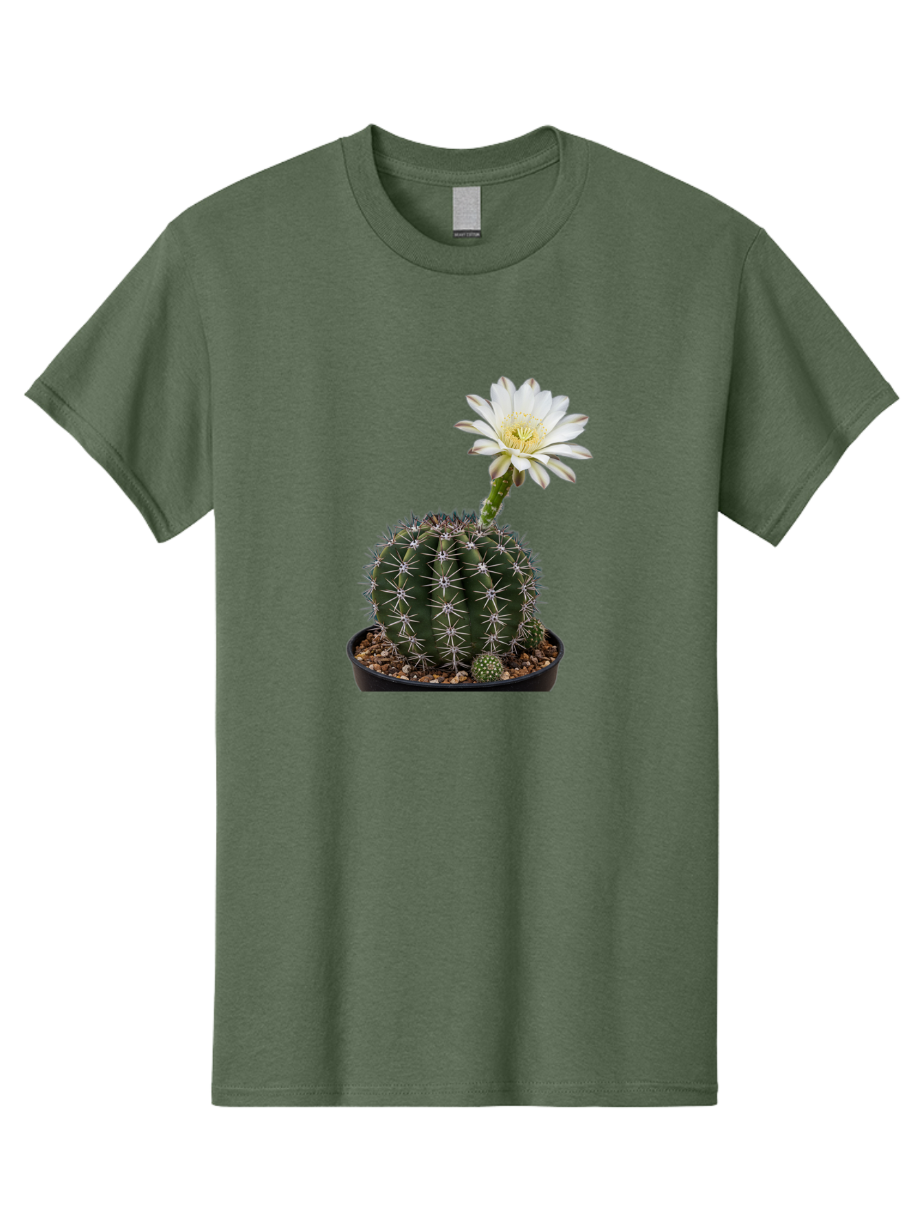 Cactus-With-White-Flower Men'S Graphic Tee, 100% Cotton, Comfortable Casual Summer Wear, Machine Washable, Cactus Plant, White Flower, Yellow Center, Spiky Texture, Potted Cactus, Succulent Bloom, Desert Flora, Floral Beauty, Cactus Flower, Bac769