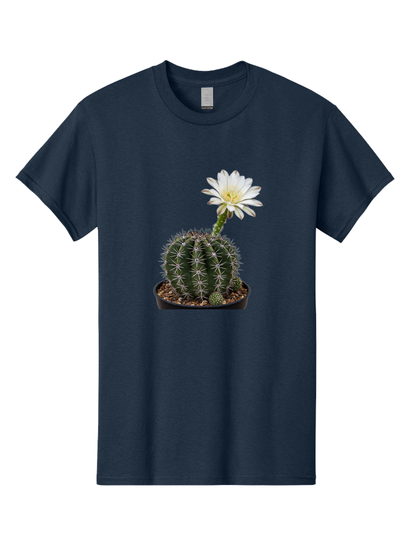Cactus-With-White-Flower Men'S Graphic Tee, 100% Cotton, Comfortable Casual Summer Wear, Machine Washable, Cactus Plant, White Flower, Yellow Center, Spiky Texture, Potted Cactus, Succulent Bloom, Desert Flora, Floral Beauty, Cactus Flower, Bac769