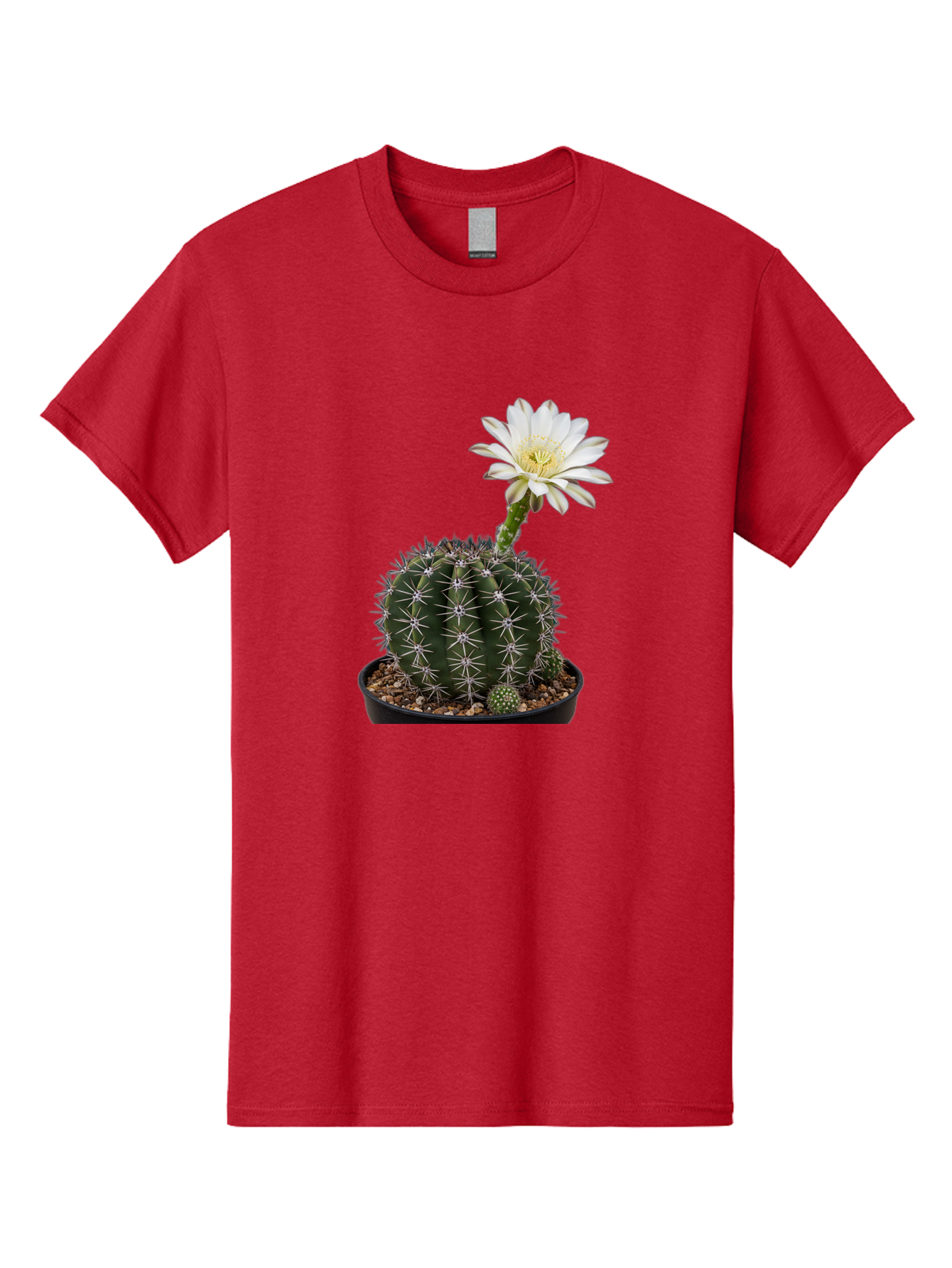 Cactus-With-White-Flower Men'S Graphic Tee, 100% Cotton, Comfortable Casual Summer Wear, Machine Washable, Cactus Plant, White Flower, Yellow Center, Spiky Texture, Potted Cactus, Succulent Bloom, Desert Flora, Floral Beauty, Cactus Flower, Bac769