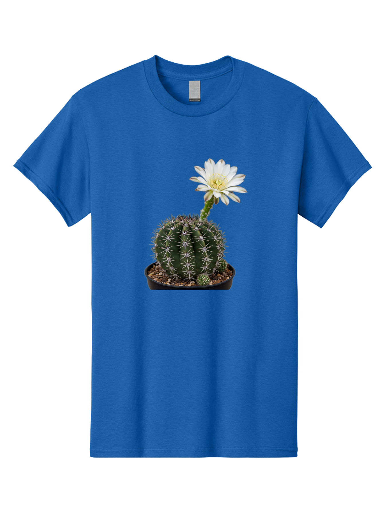 Cactus-With-White-Flower Men'S Graphic Tee, 100% Cotton, Comfortable Casual Summer Wear, Machine Washable, Cactus Plant, White Flower, Yellow Center, Spiky Texture, Potted Cactus, Succulent Bloom, Desert Flora, Floral Beauty, Cactus Flower, Bac769