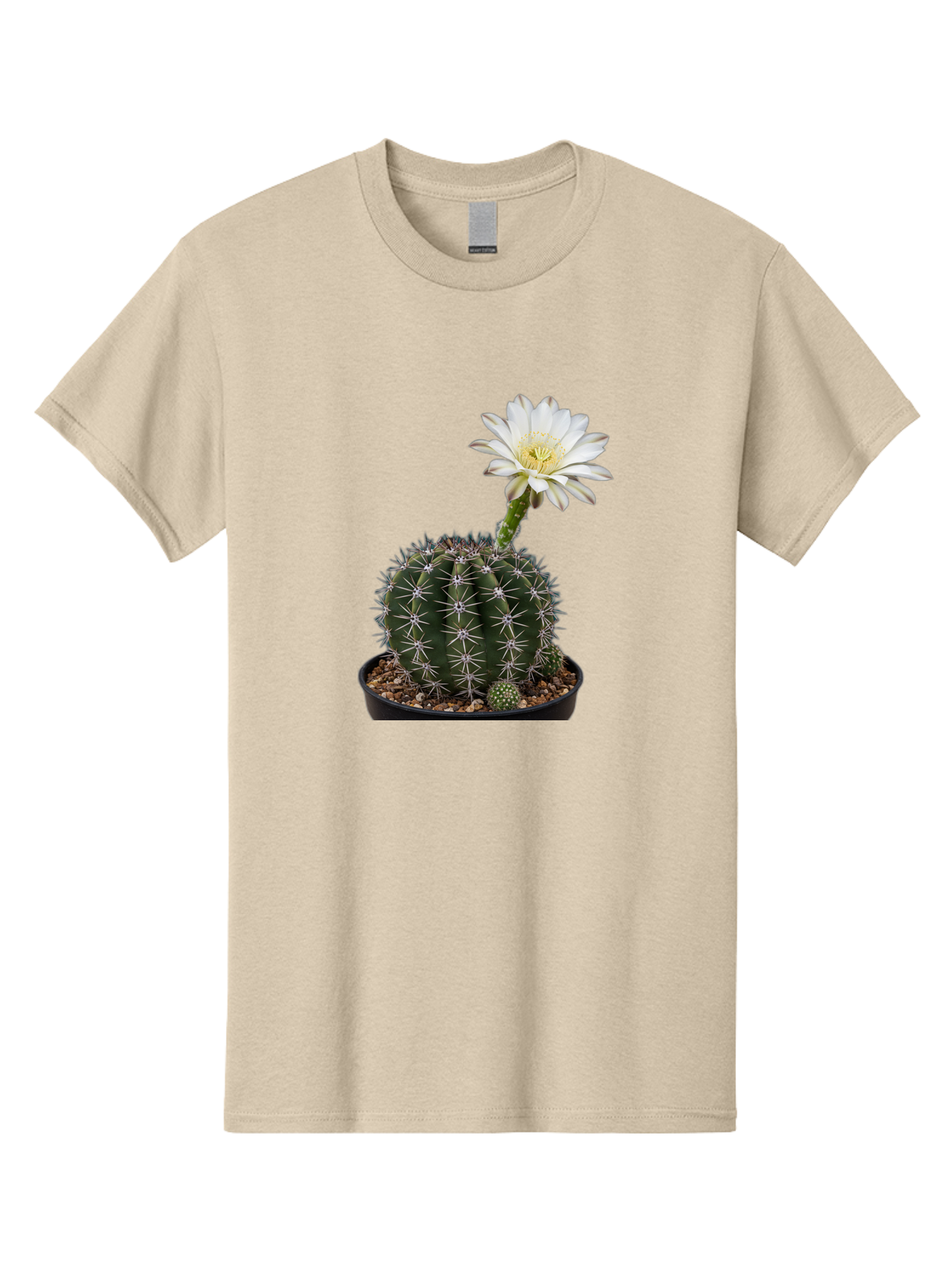 Cactus-With-White-Flower Men'S Graphic Tee, 100% Cotton, Comfortable Casual Summer Wear, Machine Washable, Cactus Plant, White Flower, Yellow Center, Spiky Texture, Potted Cactus, Succulent Bloom, Desert Flora, Floral Beauty, Cactus Flower, Bac769