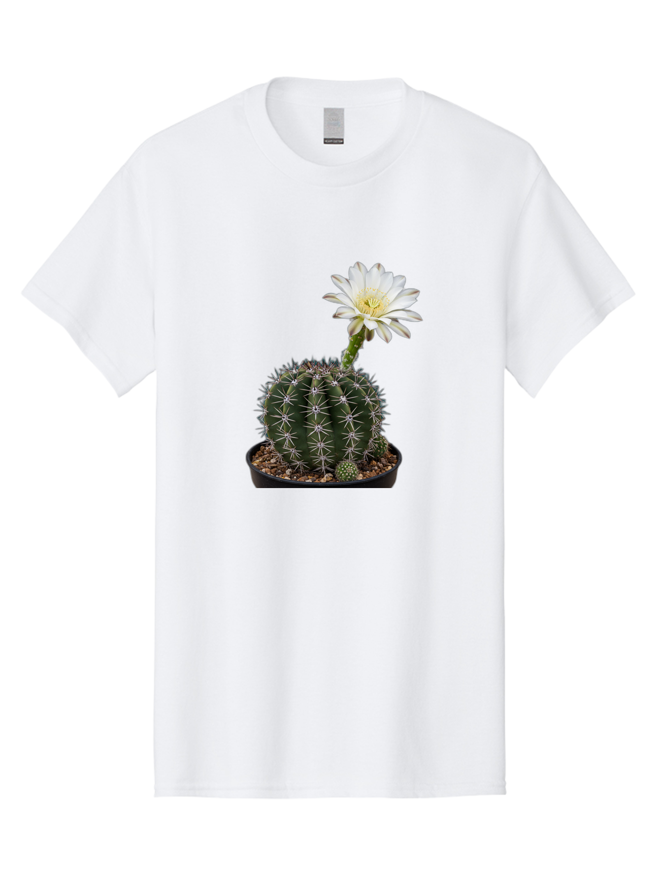 Cactus-With-White-Flower Men'S Graphic Tee, 100% Cotton, Comfortable Casual Summer Wear, Machine Washable, Cactus Plant, White Flower, Yellow Center, Spiky Texture, Potted Cactus, Succulent Bloom, Desert Flora, Floral Beauty, Cactus Flower, Bac769