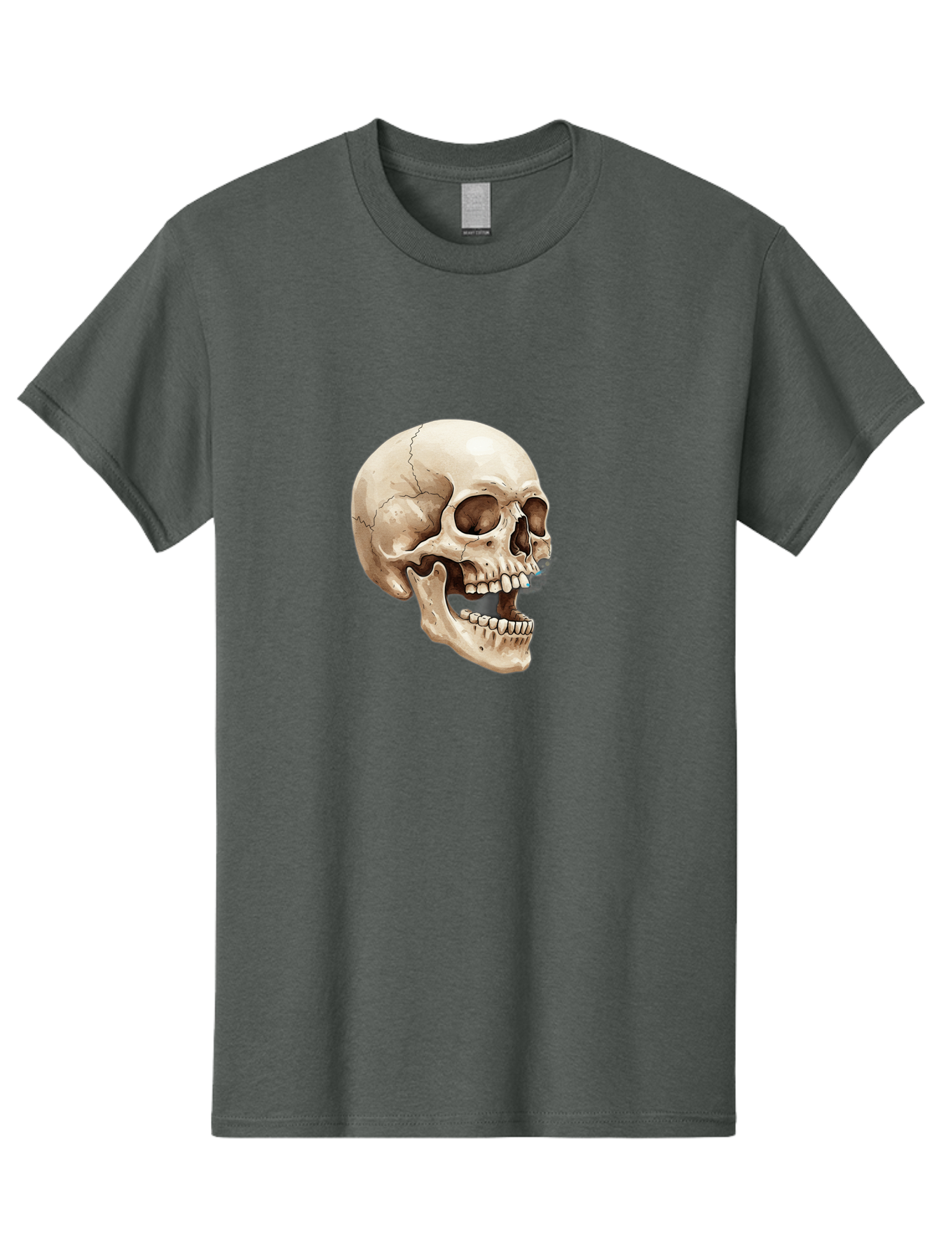 Skull Men'S Graphic Tee, 100% Cotton, Comfortable Casual Summer Wear, Machine Washable, Human Skull, Skeletal Head, Jawbone, Teeth, Anatomy, Bones, Forensic Science, Medical Illustration, Skull Structure Bad627