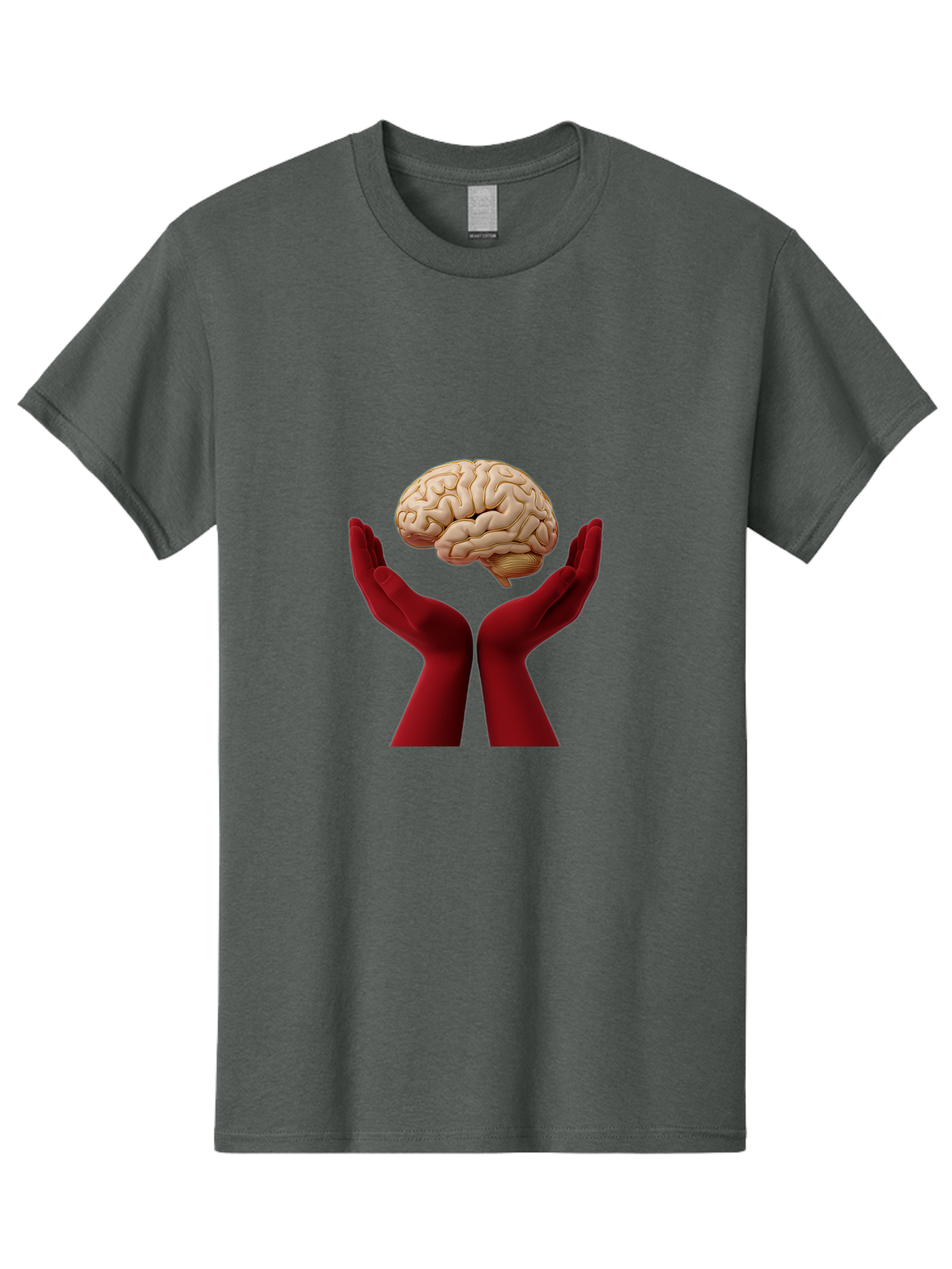 Hands-Holding-Brain-1 Men'S Graphic Tee, 100% Cotton, Comfortable Casual Summer Wear, Machine Washable, Human Brain, Hands Holding Brain, Cognitive Function, Neuroscience, Human Anatomy, Red Gloves, Realistic Brain Model, Medical Illustration, Bae029