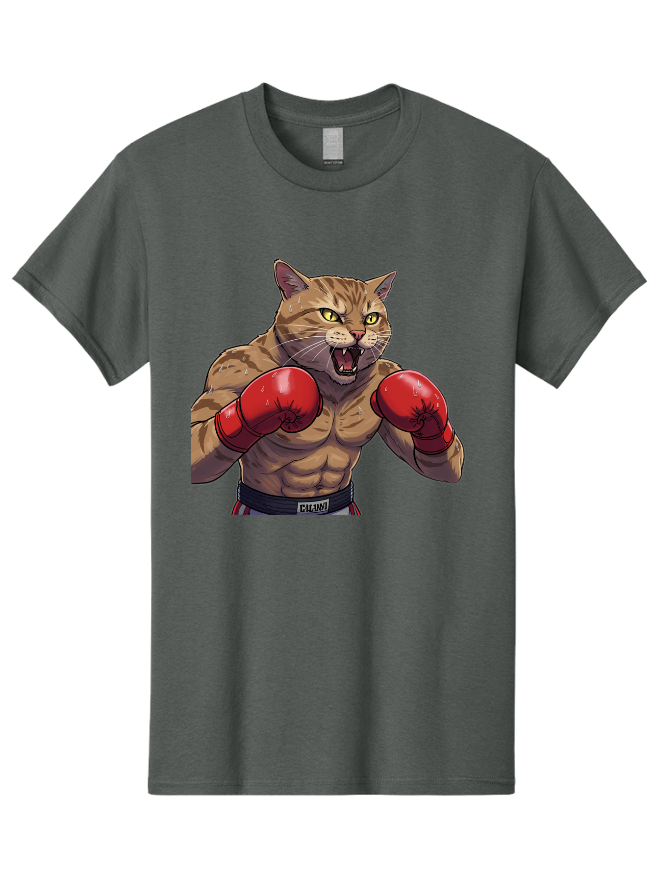 Cat-Boxer-1 Men'S Graphic Tee, 100% Cotton, Comfortable Casual Summer Wear, Machine Washable, Muscular Cat, Boxing Gloves, Fighting Stance, Aggressive Expression, Cartoon Character, Fitness, Athleticism, Feline, Combat Sports, Bae396