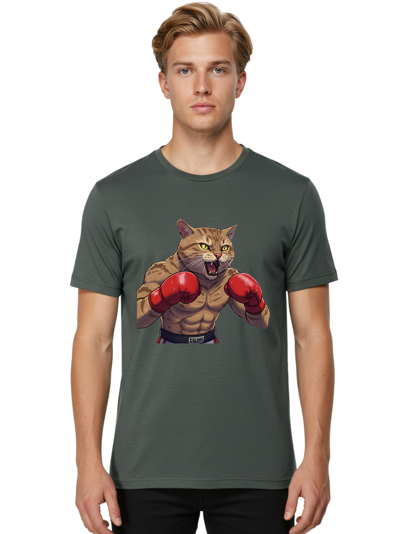 Cat-Boxer-1 Men'S Graphic Tee, 100% Cotton, Comfortable Casual Summer Wear, Machine Washable, Muscular Cat, Boxing Gloves, Fighting Stance, Aggressive Expression, Cartoon Character, Fitness, Athleticism, Feline, Combat Sports, Bae396