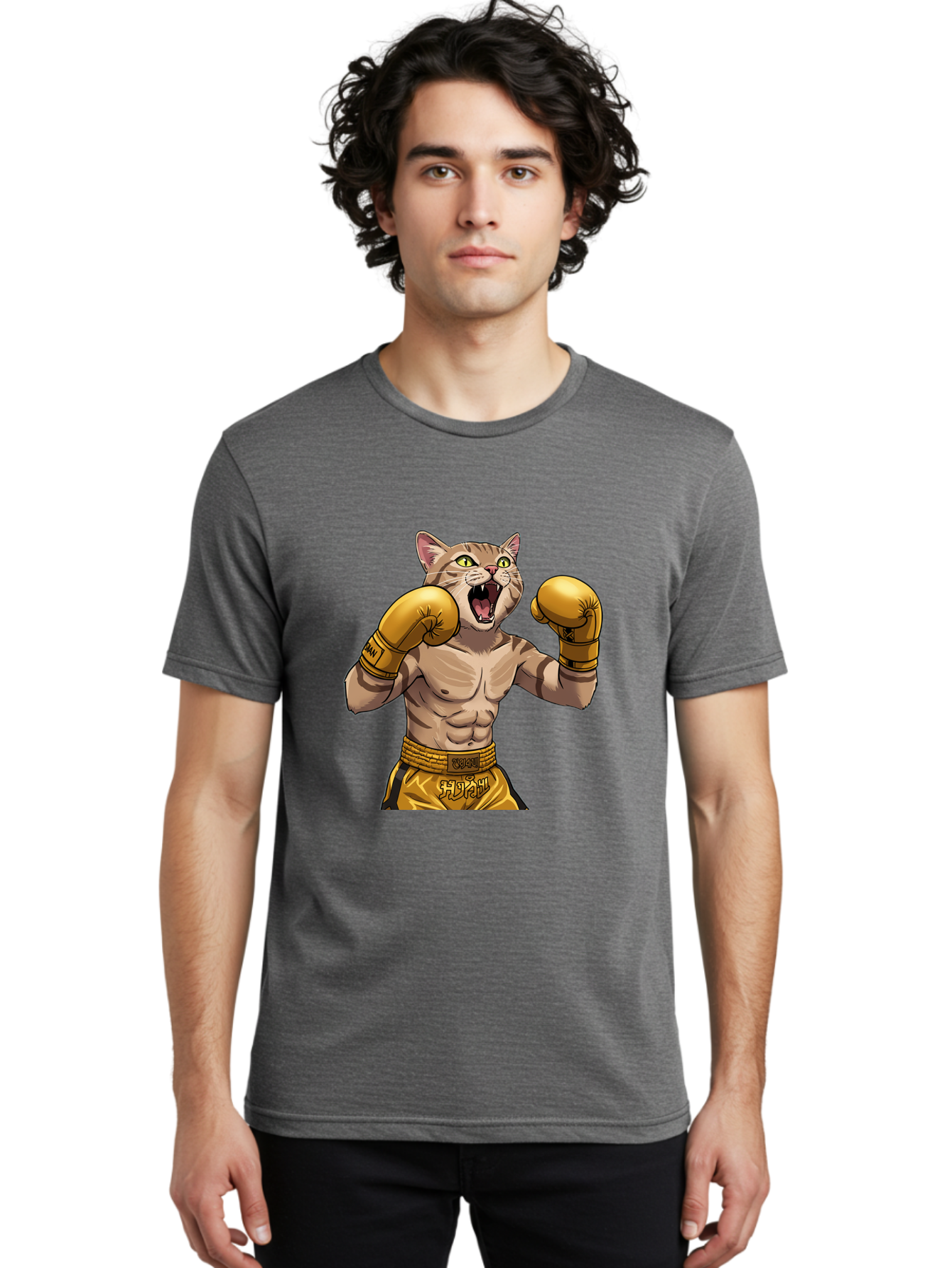 Cat-Fighter Men'S Graphic Tee, 100% Cotton, Comfortable Casual Summer Wear, Machine Washable, Cartoon Cat, Boxer Cat, Boxing Gloves, Martial Arts, Fitness, Anthropomorphic Animal, Fighting Stance, Strong Cat, Muscular Cat, Bae398