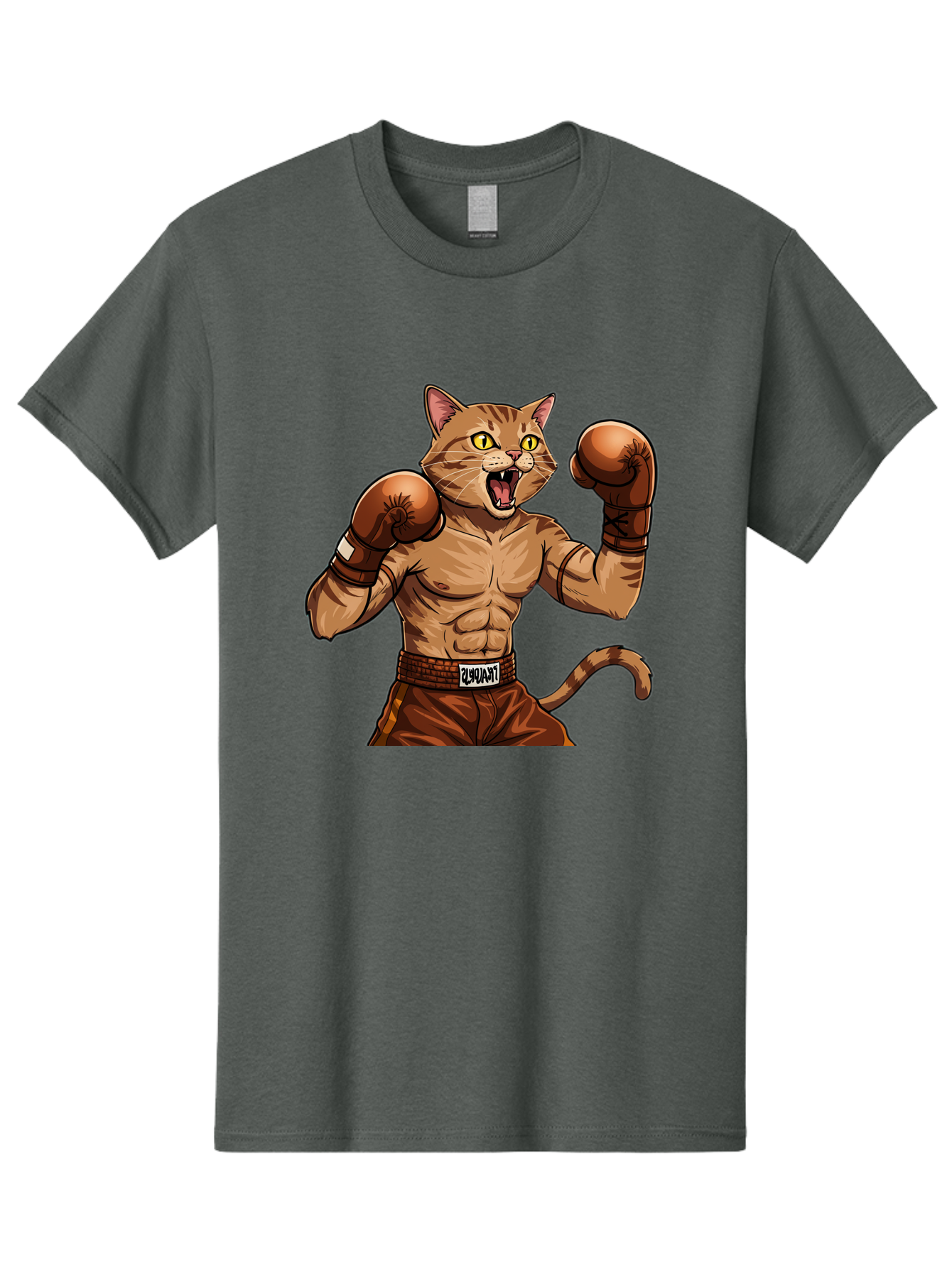 Itnumba Men'S Graphic Tee, 100% Cotton, Comfortable Casual Summer Wear, Machine Washable, Boxing Cat, Cartoon Character, Muscular Feline, Boxing Gloves, Fitness Motivation, Fun Illustration, Tabby Cat, Humorous Design, Anthropomorphic Cat Bae472
