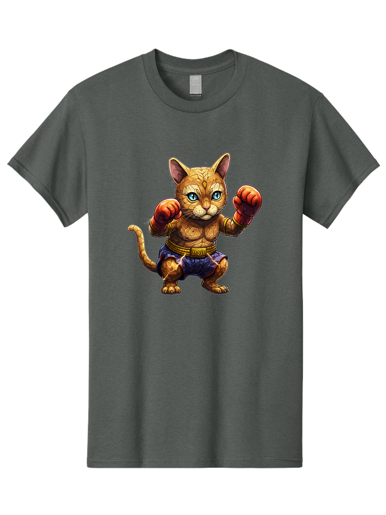Kung-Fu-Cat-1 Men'S Graphic Tee, 100% Cotton, Comfortable Casual Summer Wear, Machine Washable, Cartoon Cat With Boxing Gloves, Muscular Cat, Fighting Stance, Blue Shorts, Gold Belt, Tiger-Like, Orange Fur, Intense Stare, Athletic Build, Bae481