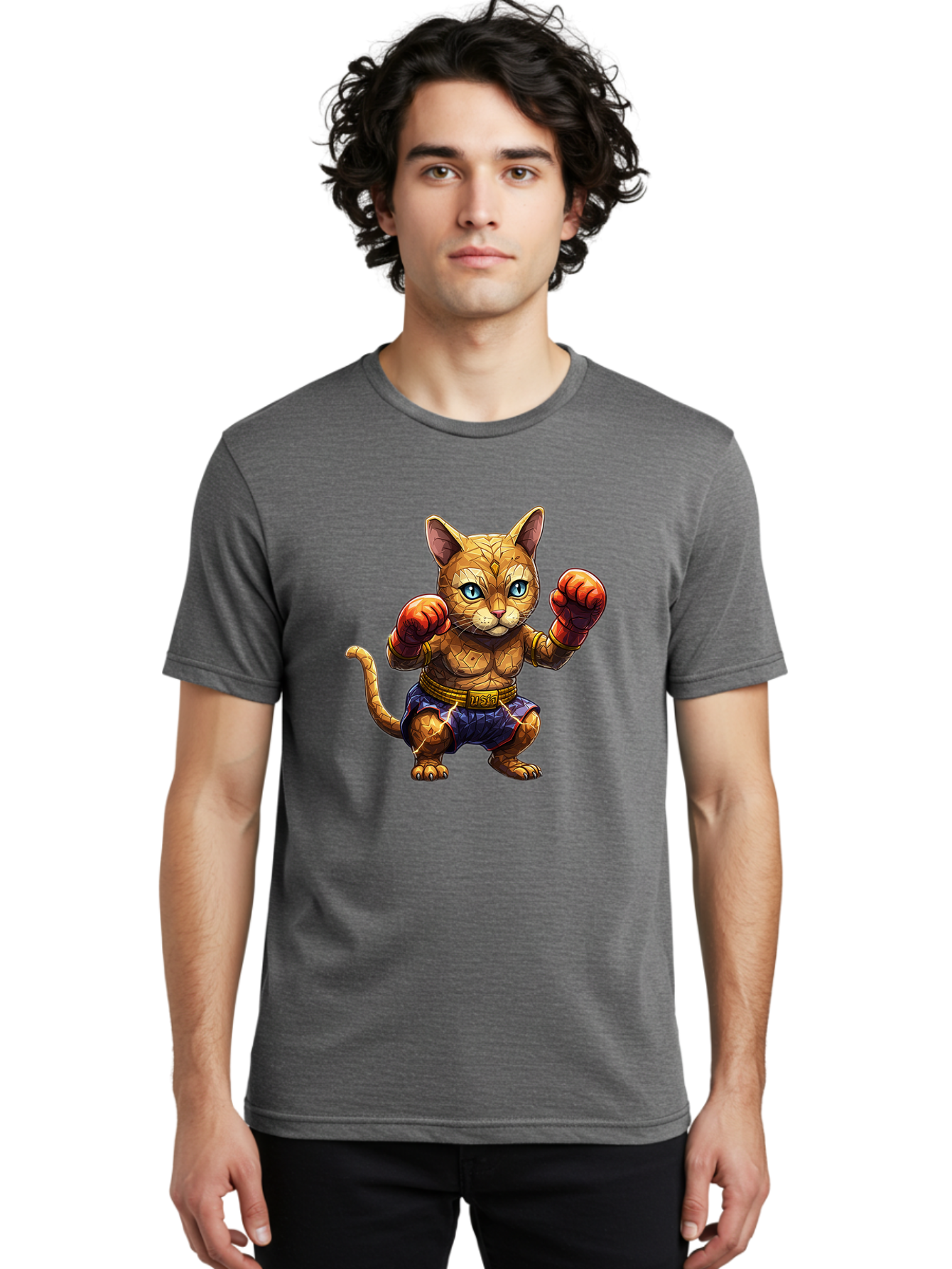 Kung-Fu-Cat-1 Men'S Graphic Tee, 100% Cotton, Comfortable Casual Summer Wear, Machine Washable, Cartoon Cat With Boxing Gloves, Muscular Cat, Fighting Stance, Blue Shorts, Gold Belt, Tiger-Like, Orange Fur, Intense Stare, Athletic Build, Bae481