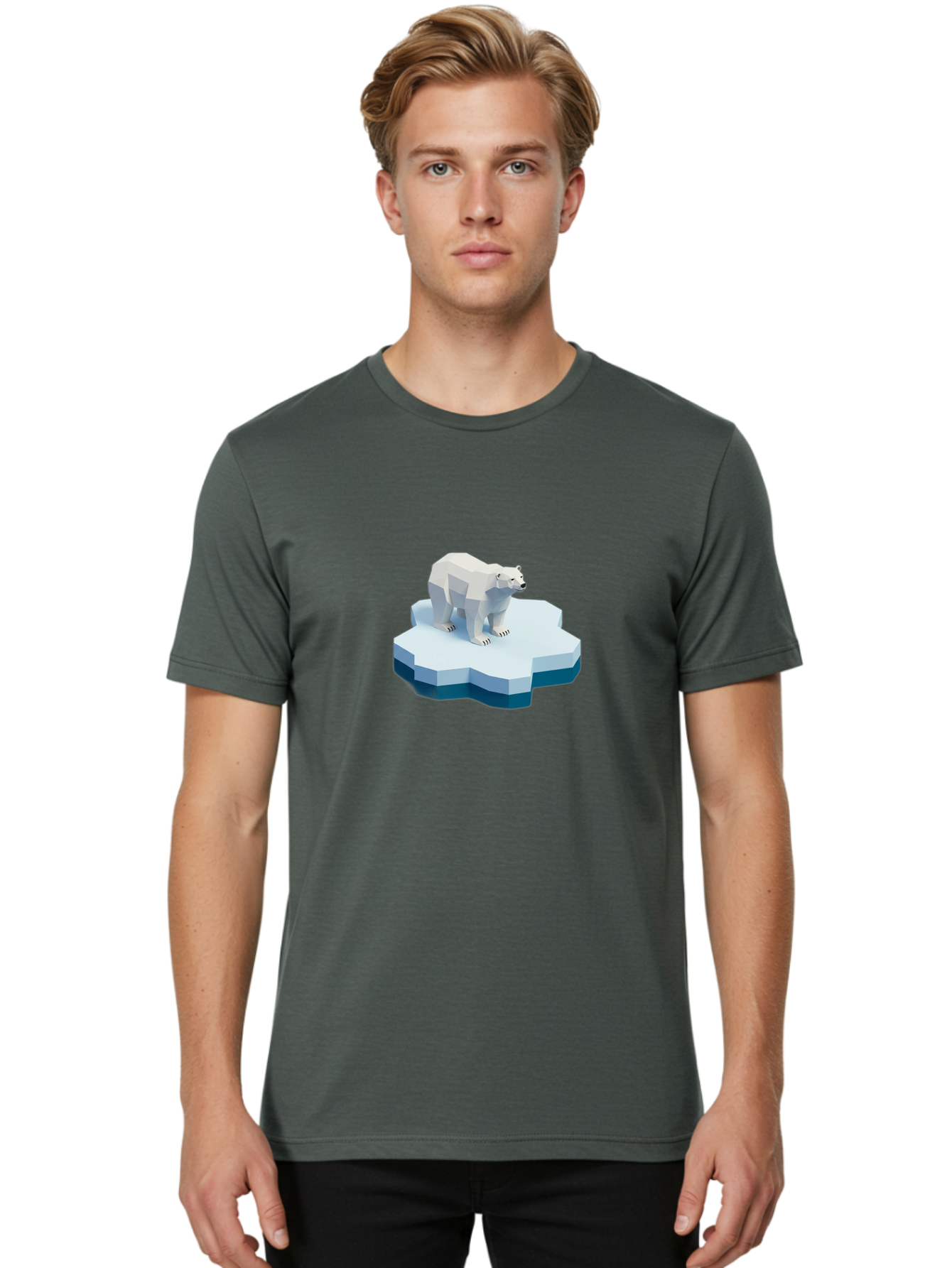 Polar-Bear-On-Iceberg Men'S Graphic Tee, 100% Cotton, Comfortable Casual Summer Wear, Machine Washable, Polar Bear On Iceberg, Low Poly Art, White Bear, Geometric Shapes, Icy Landscape, Arctic Wildlife, Climate Change, Cold Temperatures, Bae666