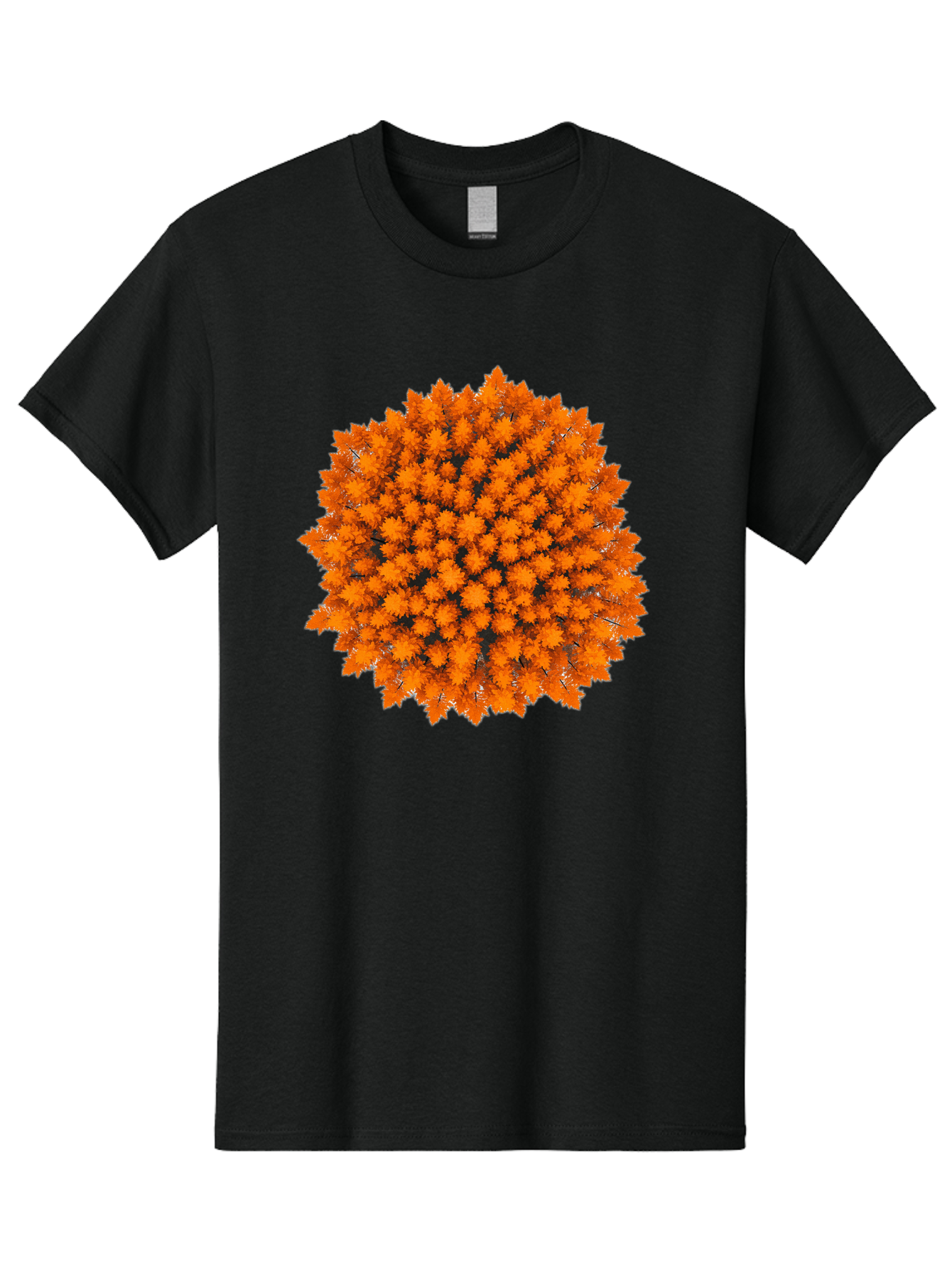Forest-Canopy Men'S Graphic Tee, 100% Cotton, Comfortable Casual Summer Wear, Machine Washable, Vintage Camera, Old Camera, Antique Camera, Black Camera, Classic Photography, Photography Equipment, Nostalgic Device, Film Camera, Camera Art Baf097