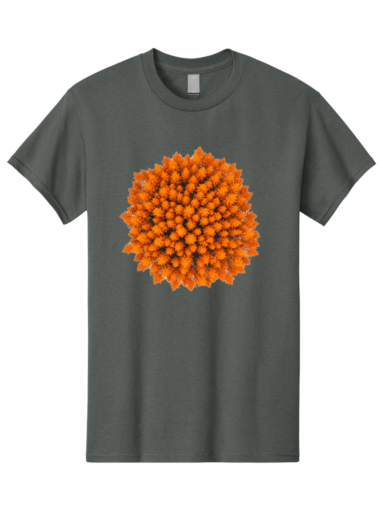 Forest-Canopy Men'S Graphic Tee, 100% Cotton, Comfortable Casual Summer Wear, Machine Washable, Vintage Camera, Old Camera, Antique Camera, Black Camera, Classic Photography, Photography Equipment, Nostalgic Device, Film Camera, Camera Art Baf097
