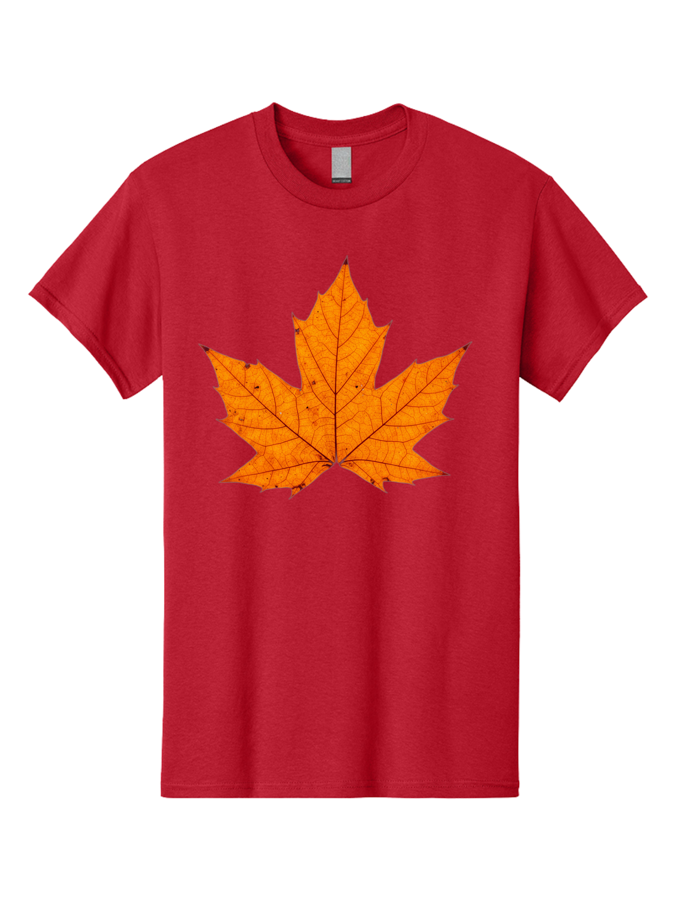 Maple-Leaf-2 Men'S Graphic Tee, 100% Cotton, Comfortable Casual Summer Wear, Machine Washable, Vintage Camera, Old Camera, Antique Camera, Black Camera, Classic Photography, Photography Equipment, Nostalgic Device, Film Camera, Camera Art Baf202