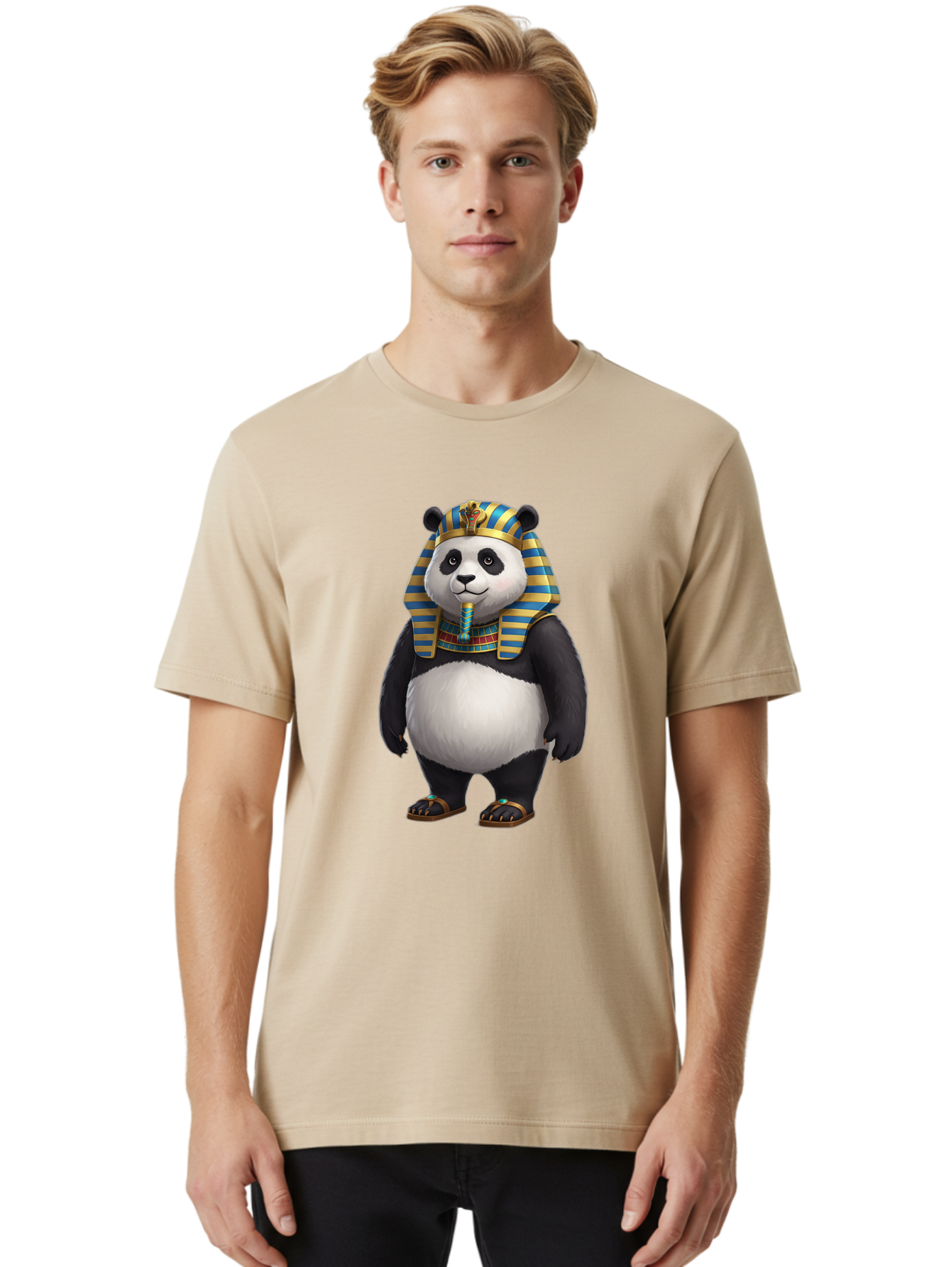 Panda-Pharaoh-8 Men'S Graphic Tee, 100% Cotton, Comfortable Casual Summer Wear, Machine Washable, Vintage Camera, Old Camera, Antique Camera, Black Camera, Classic Photography, Photography Equipment, Nostalgic Device, Film Camera, Camera Art Baf310