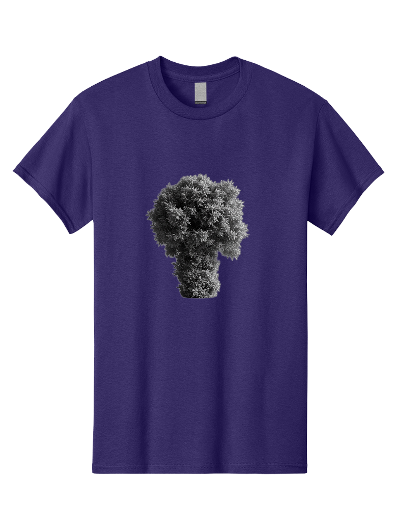 Mushroom-Cloud Men'S Graphic Tee, 100% Cotton, Comfortable Casual Summer Wear, Machine Washable, Vintage Camera, Old Camera, Antique Camera, Black Camera, Classic Photography, Photography Equipment, Nostalgic Device, Film Camera, Camera Art Bag837