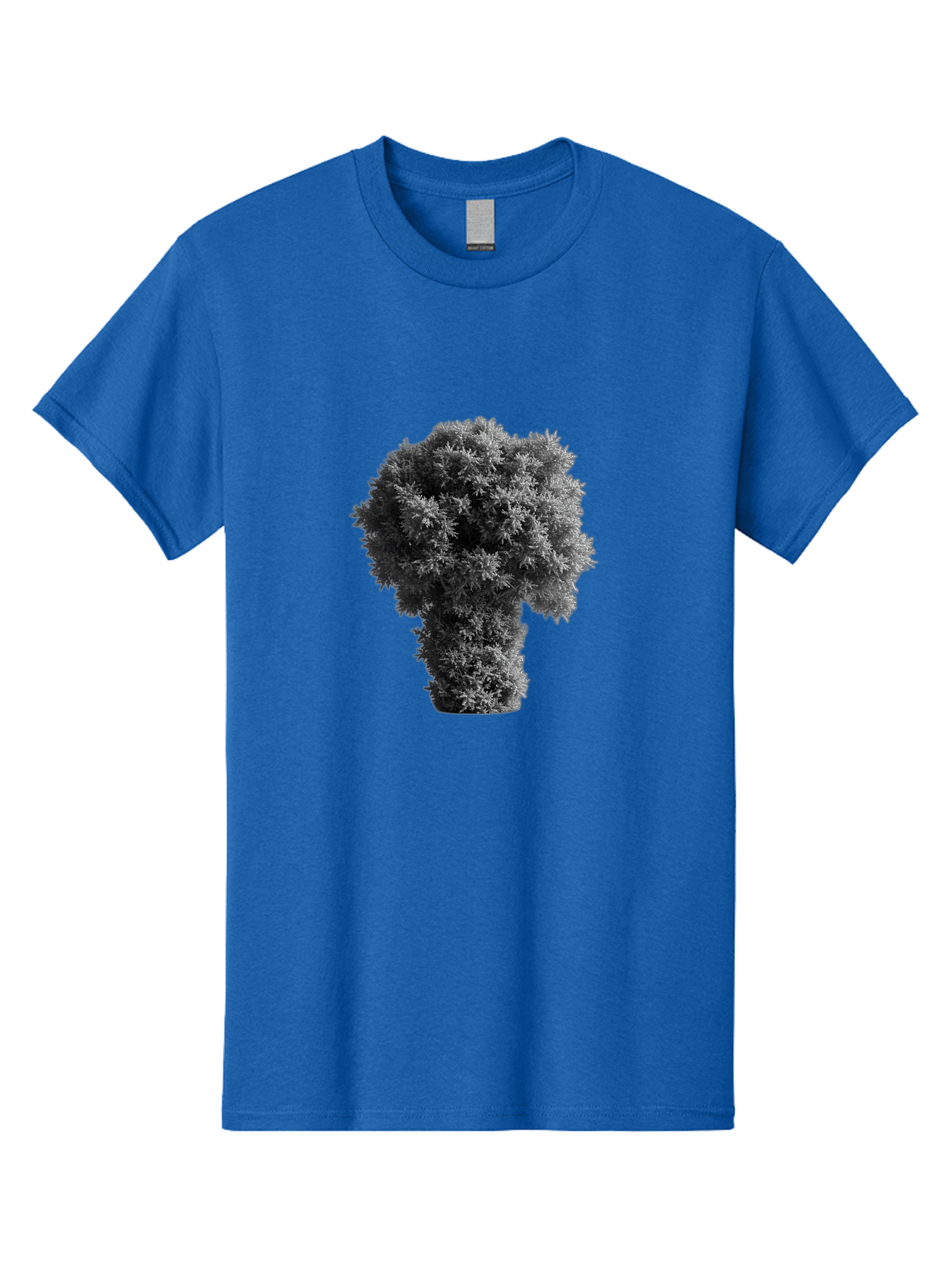 Mushroom-Cloud Men'S Graphic Tee, 100% Cotton, Comfortable Casual Summer Wear, Machine Washable, Vintage Camera, Old Camera, Antique Camera, Black Camera, Classic Photography, Photography Equipment, Nostalgic Device, Film Camera, Camera Art Bag837
