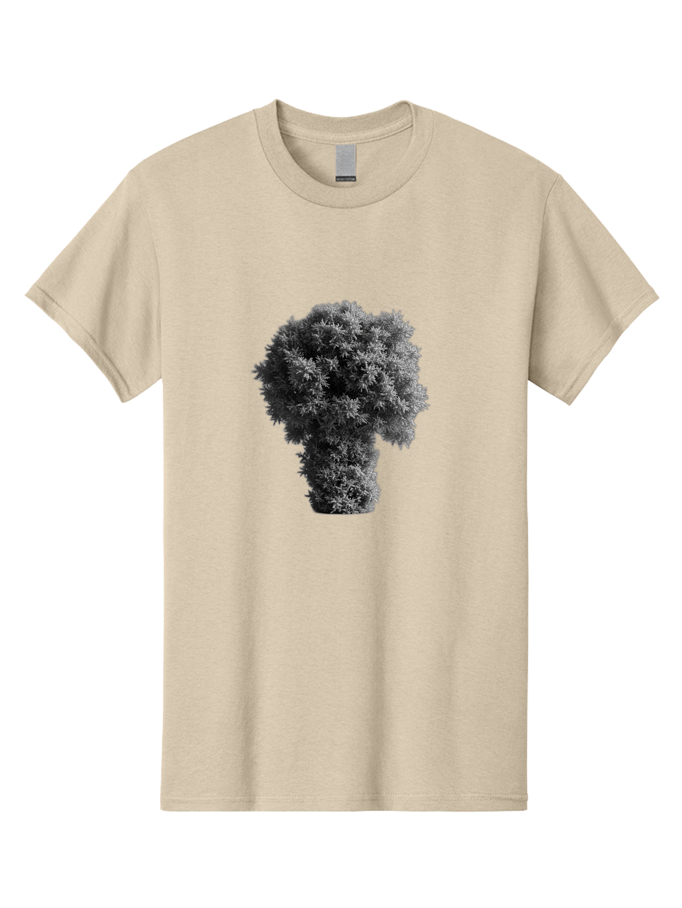 Mushroom-Cloud Men'S Graphic Tee, 100% Cotton, Comfortable Casual Summer Wear, Machine Washable, Vintage Camera, Old Camera, Antique Camera, Black Camera, Classic Photography, Photography Equipment, Nostalgic Device, Film Camera, Camera Art Bag837
