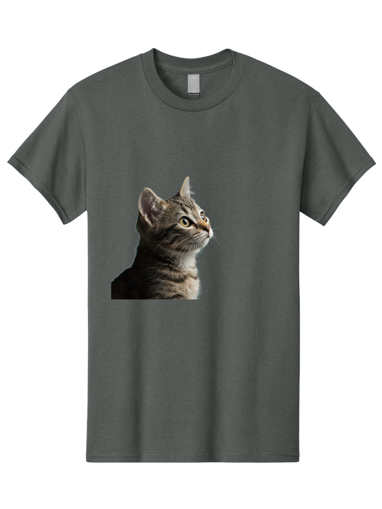 Cat-Looking-Up Men'S Graphic Tee, 100% Cotton, Comfortable Casual Summer Wear, Machine Washable, Vintage Camera, Old Camera, Antique Camera, Black Camera, Classic Photography, Photography Equipment, Nostalgic Device, Film Camera, Camera Art Bai633