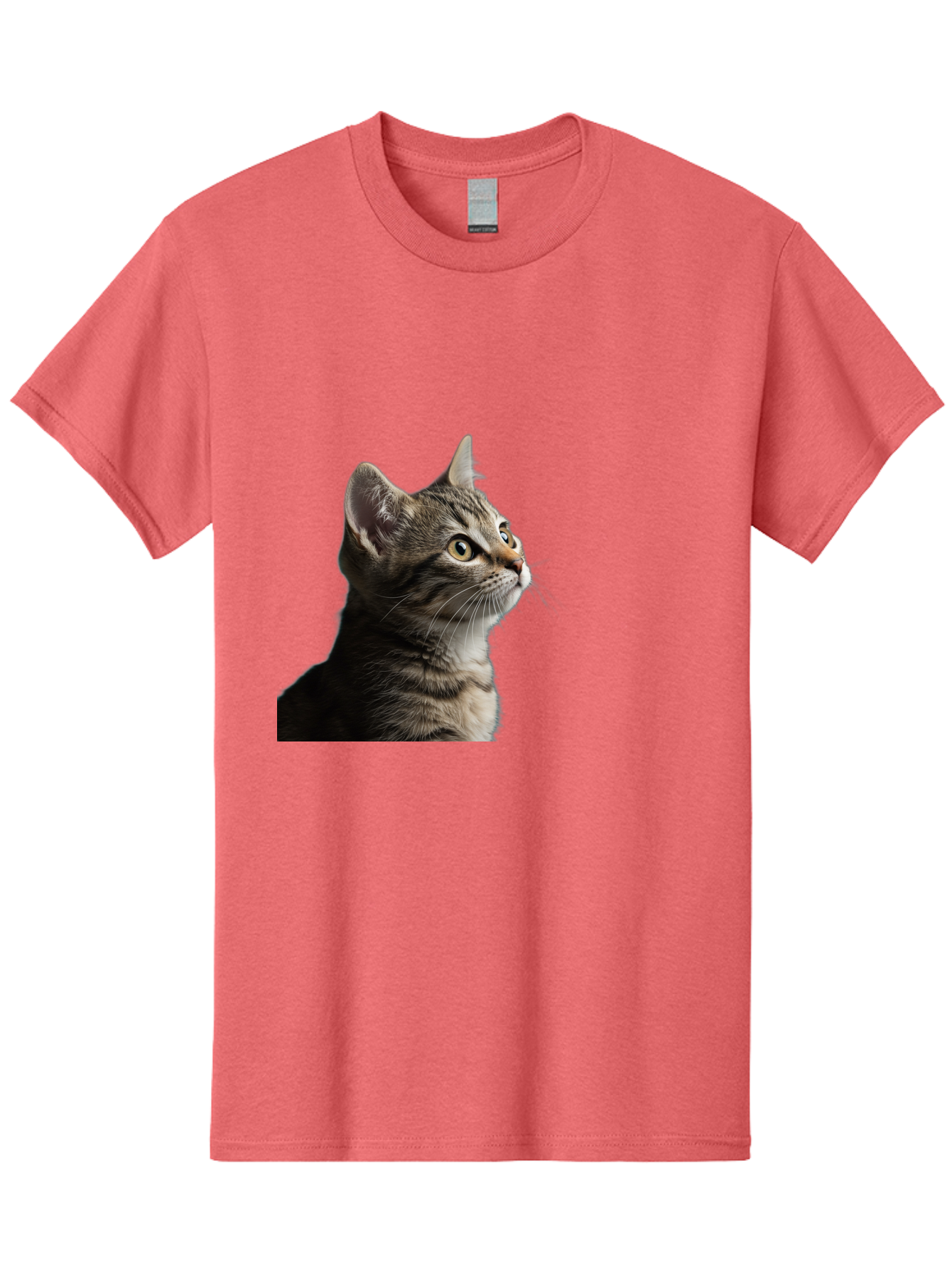 Cat-Looking-Up Men'S Graphic Tee, 100% Cotton, Comfortable Casual Summer Wear, Machine Washable, Vintage Camera, Old Camera, Antique Camera, Black Camera, Classic Photography, Photography Equipment, Nostalgic Device, Film Camera, Camera Art Bai633