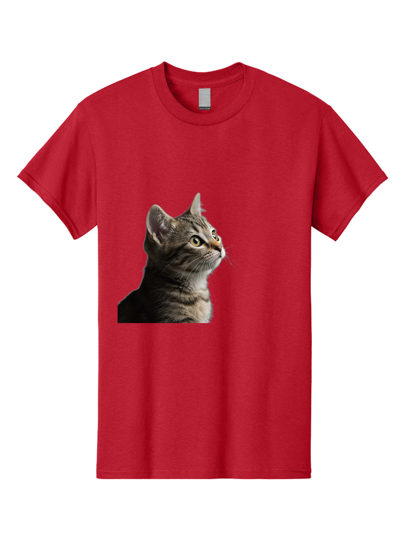 Cat-Looking-Up Men'S Graphic Tee, 100% Cotton, Comfortable Casual Summer Wear, Machine Washable, Vintage Camera, Old Camera, Antique Camera, Black Camera, Classic Photography, Photography Equipment, Nostalgic Device, Film Camera, Camera Art Bai633