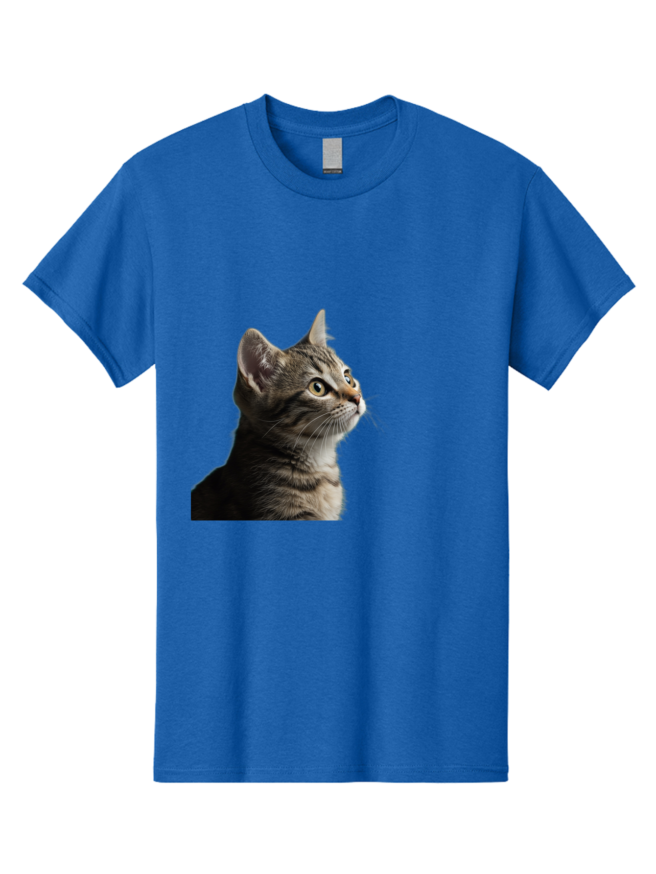 Cat-Looking-Up Men'S Graphic Tee, 100% Cotton, Comfortable Casual Summer Wear, Machine Washable, Vintage Camera, Old Camera, Antique Camera, Black Camera, Classic Photography, Photography Equipment, Nostalgic Device, Film Camera, Camera Art Bai633